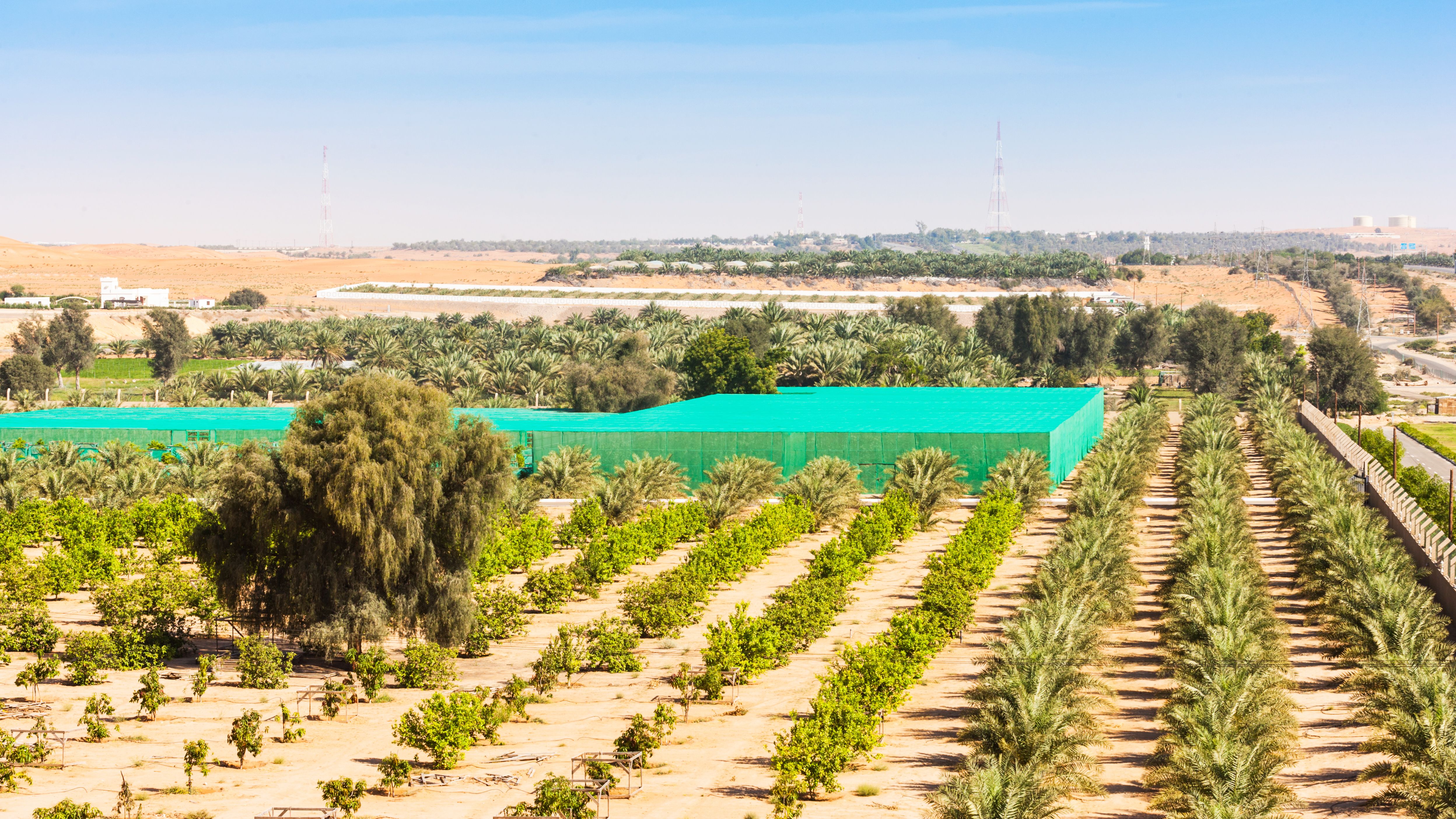 UAE farming policy