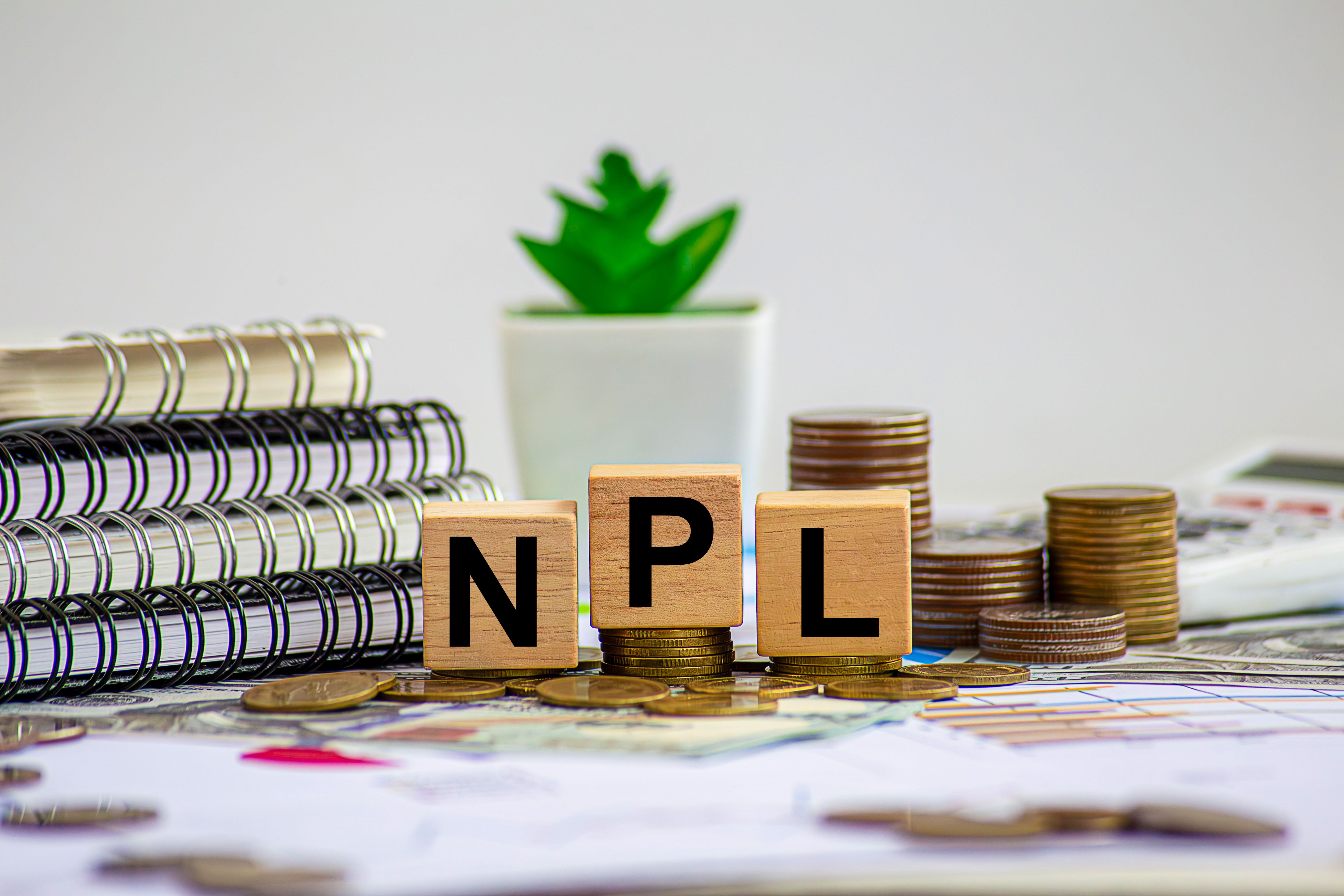 loan terms