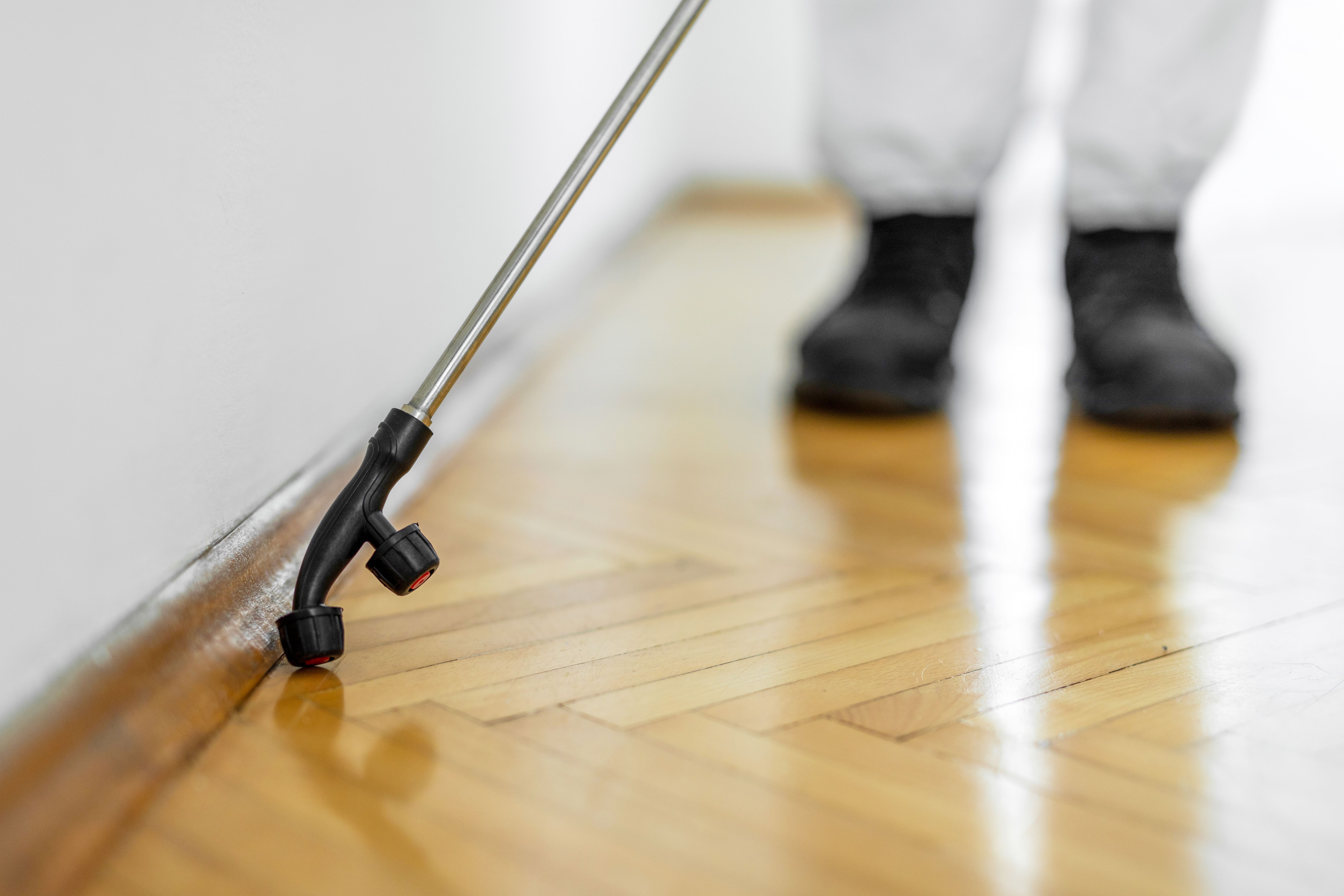 comparing pest control prices