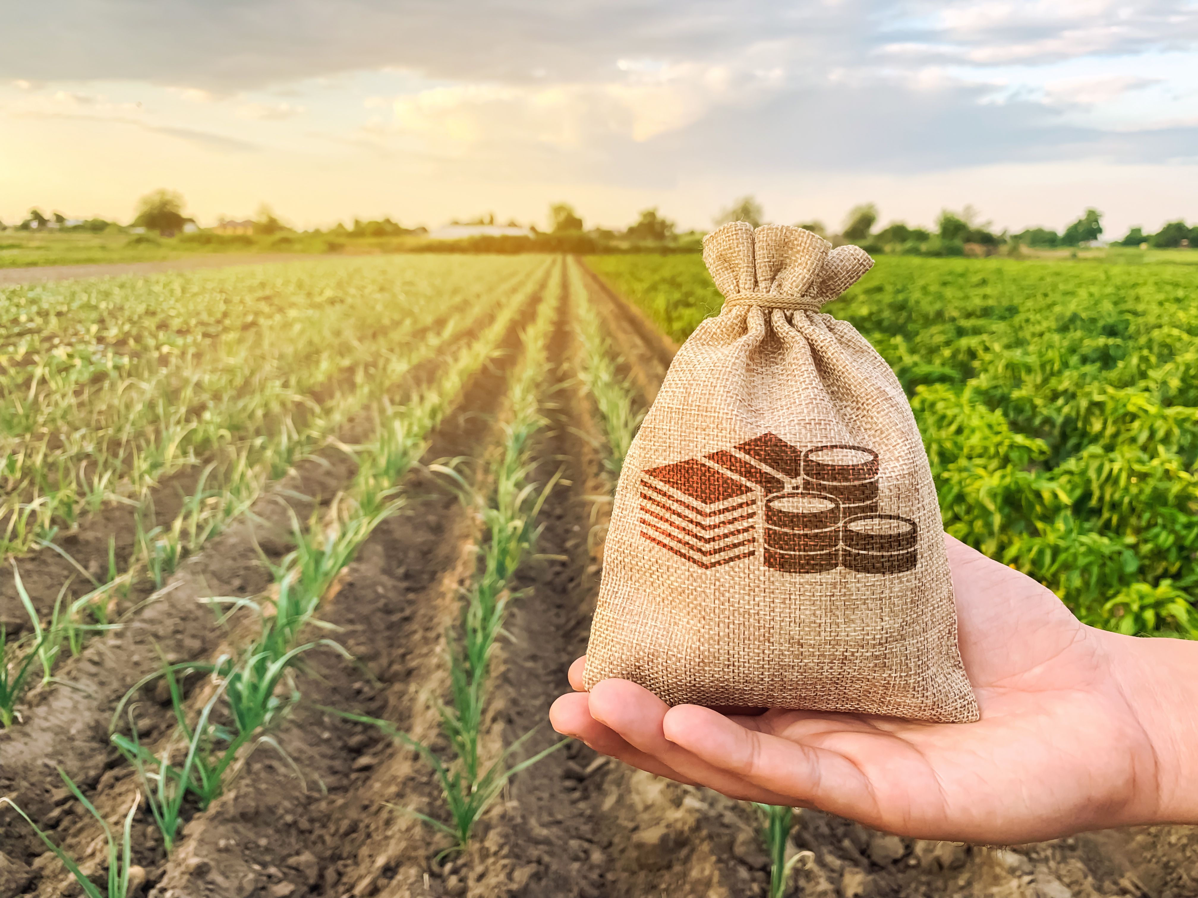 yield farming