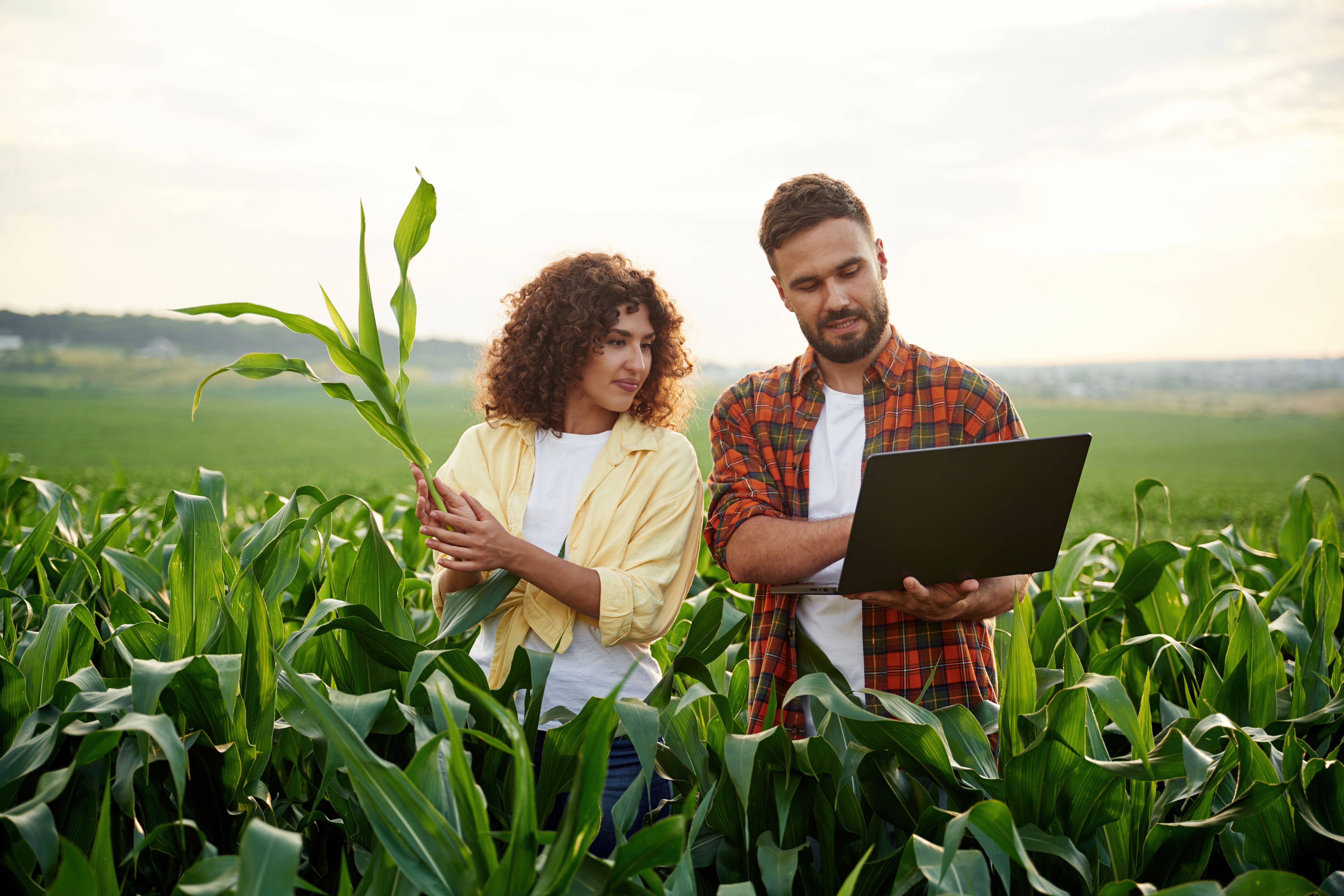 rural internet