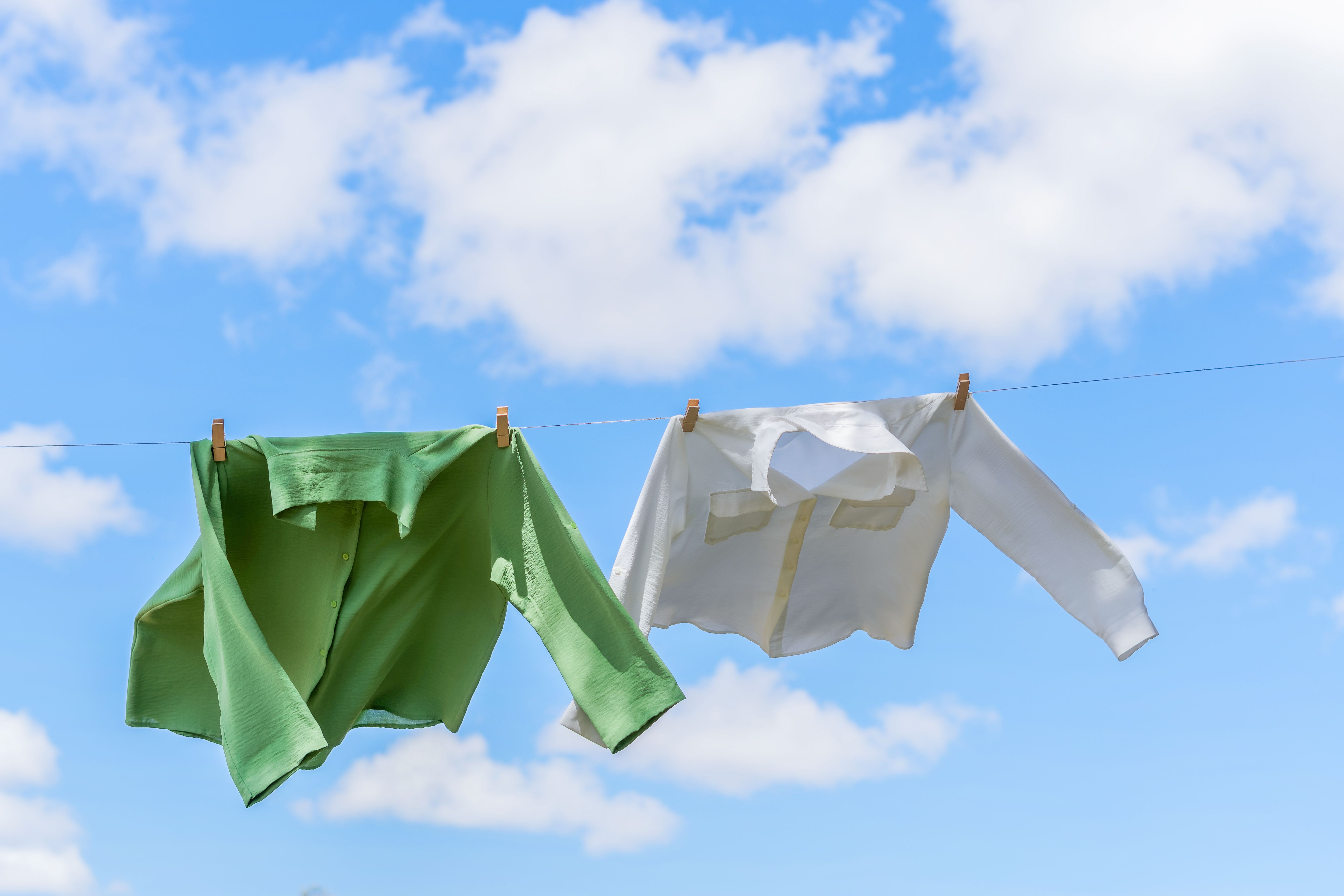 sunny clothesline