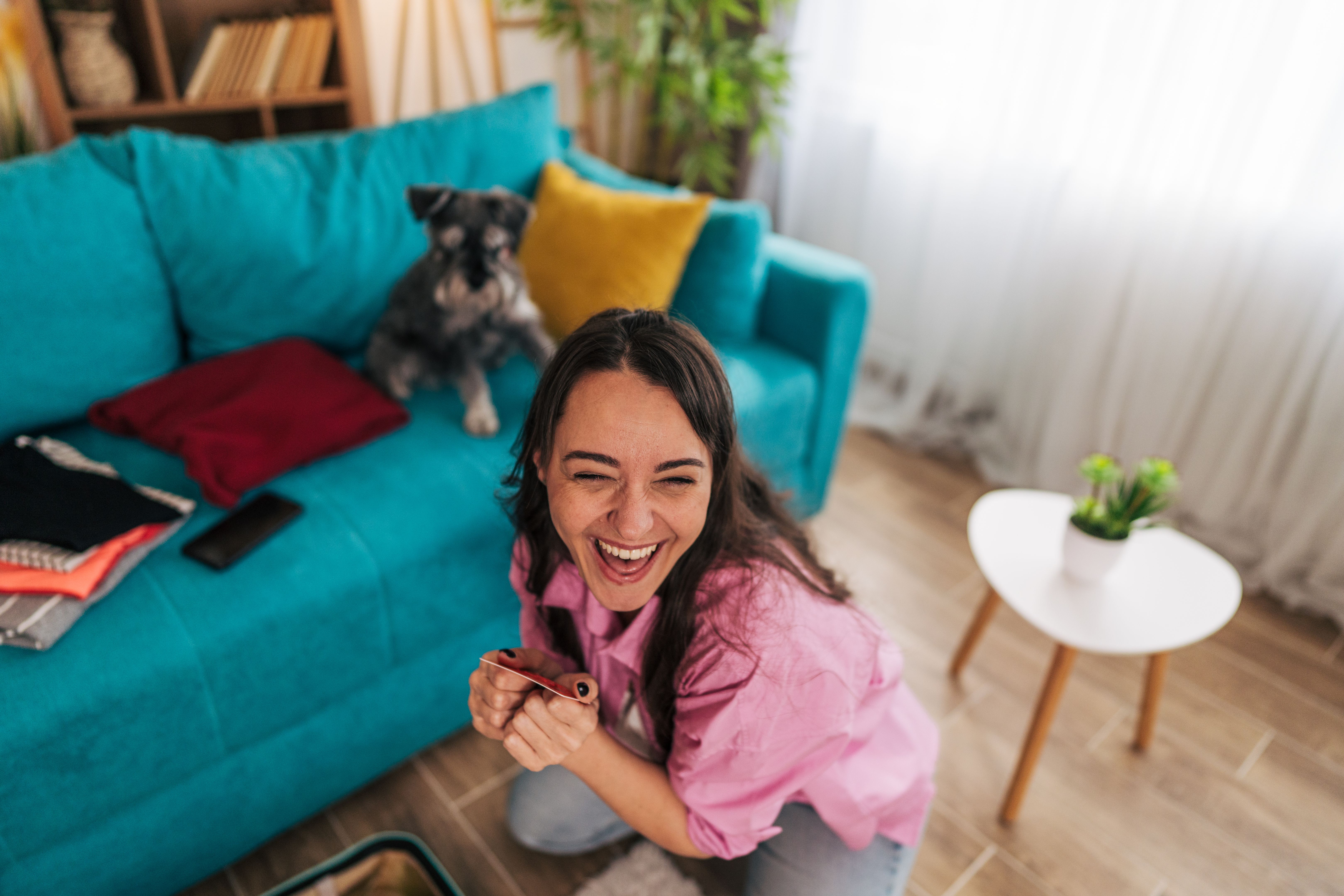 pet travel essentials