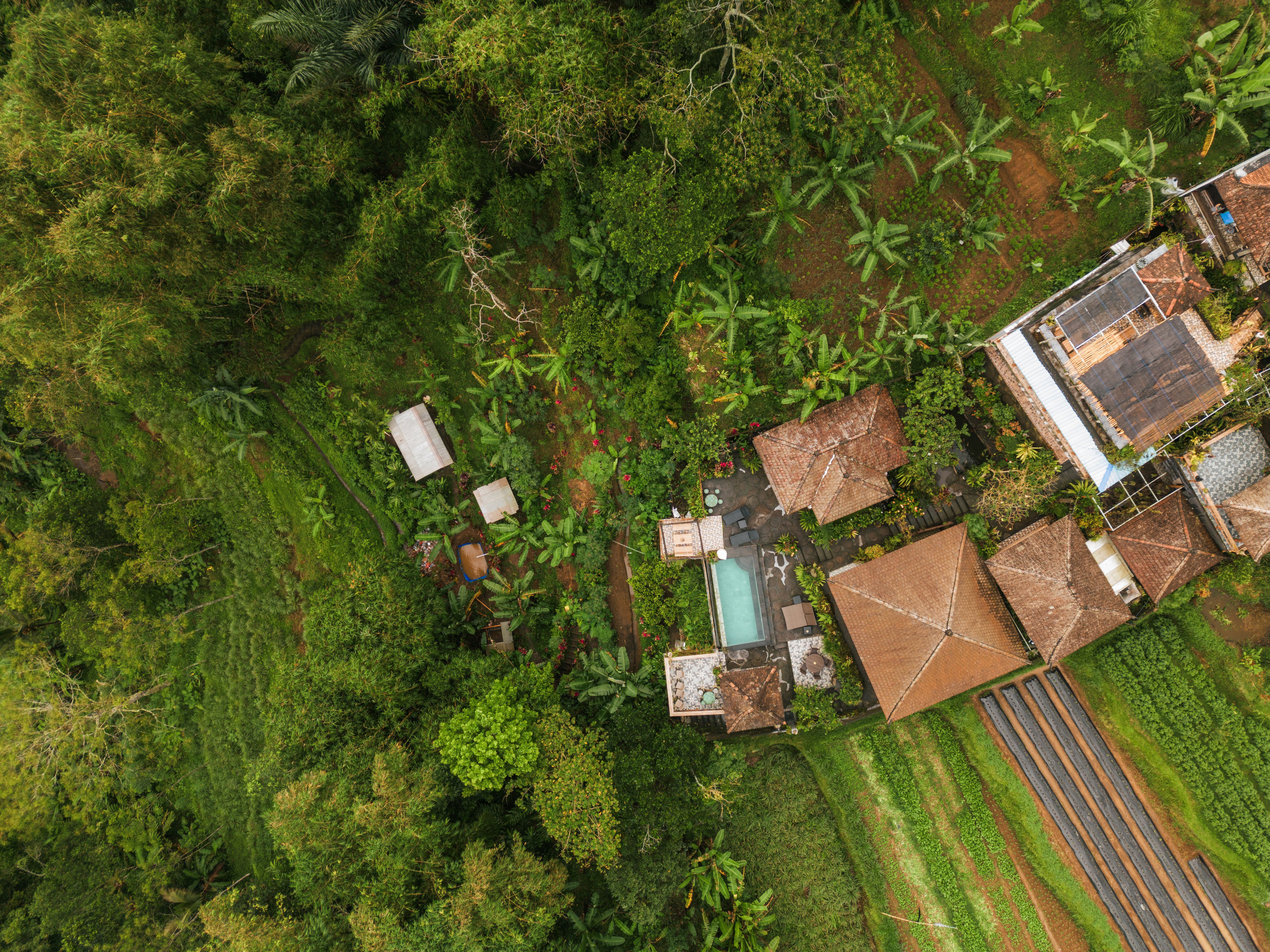 balinese legal documents