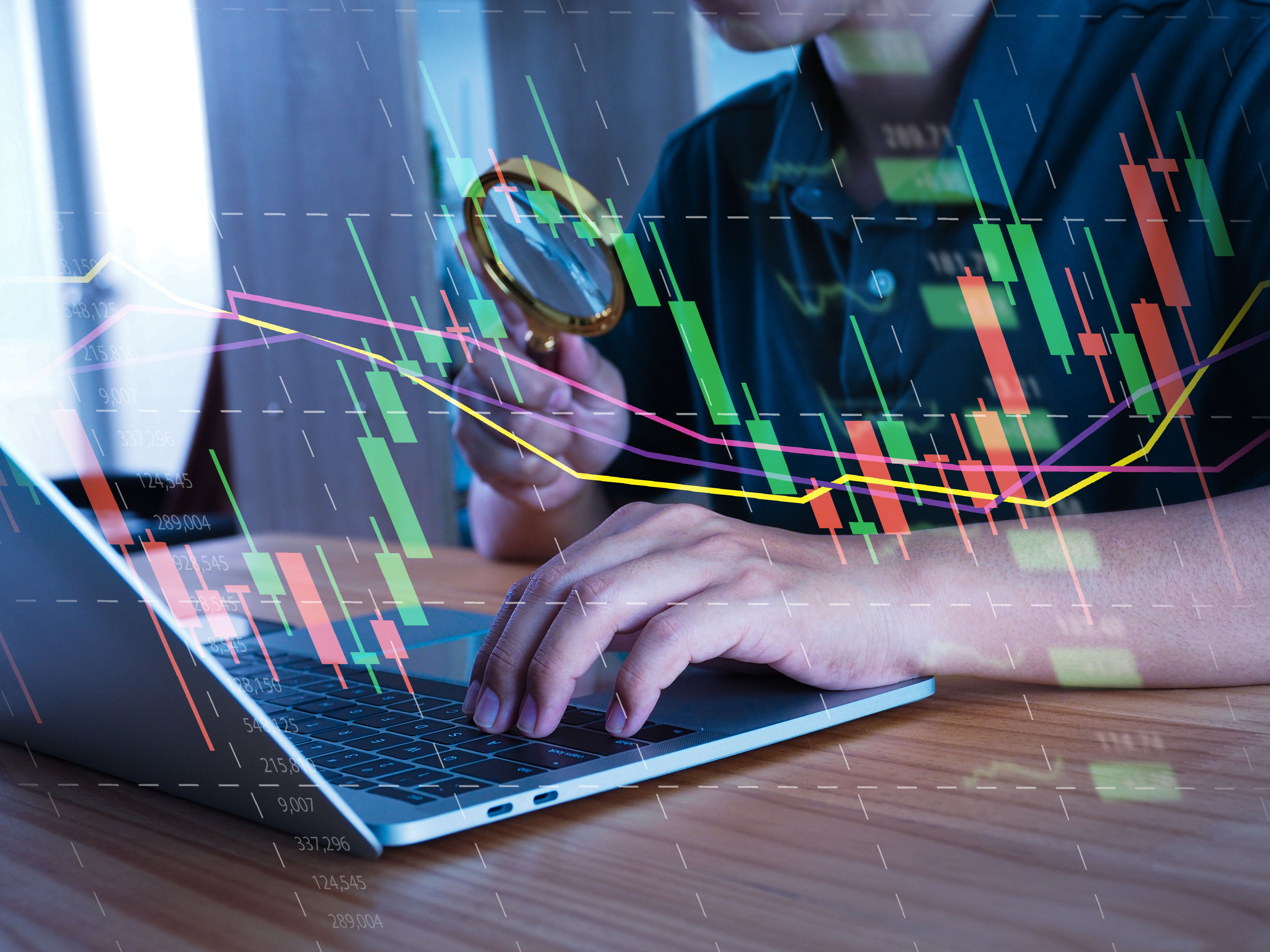 crypto education