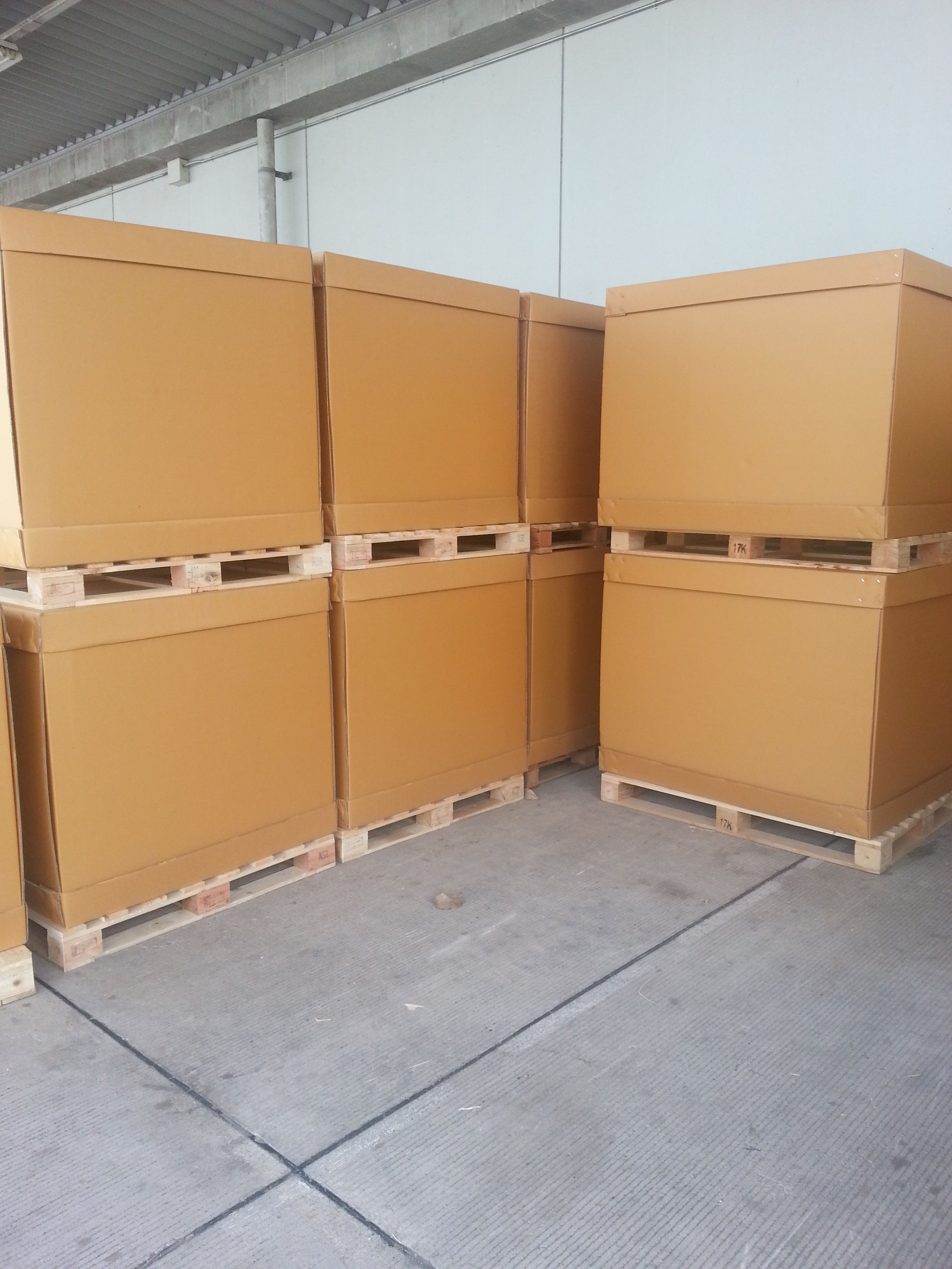 empaque cajas