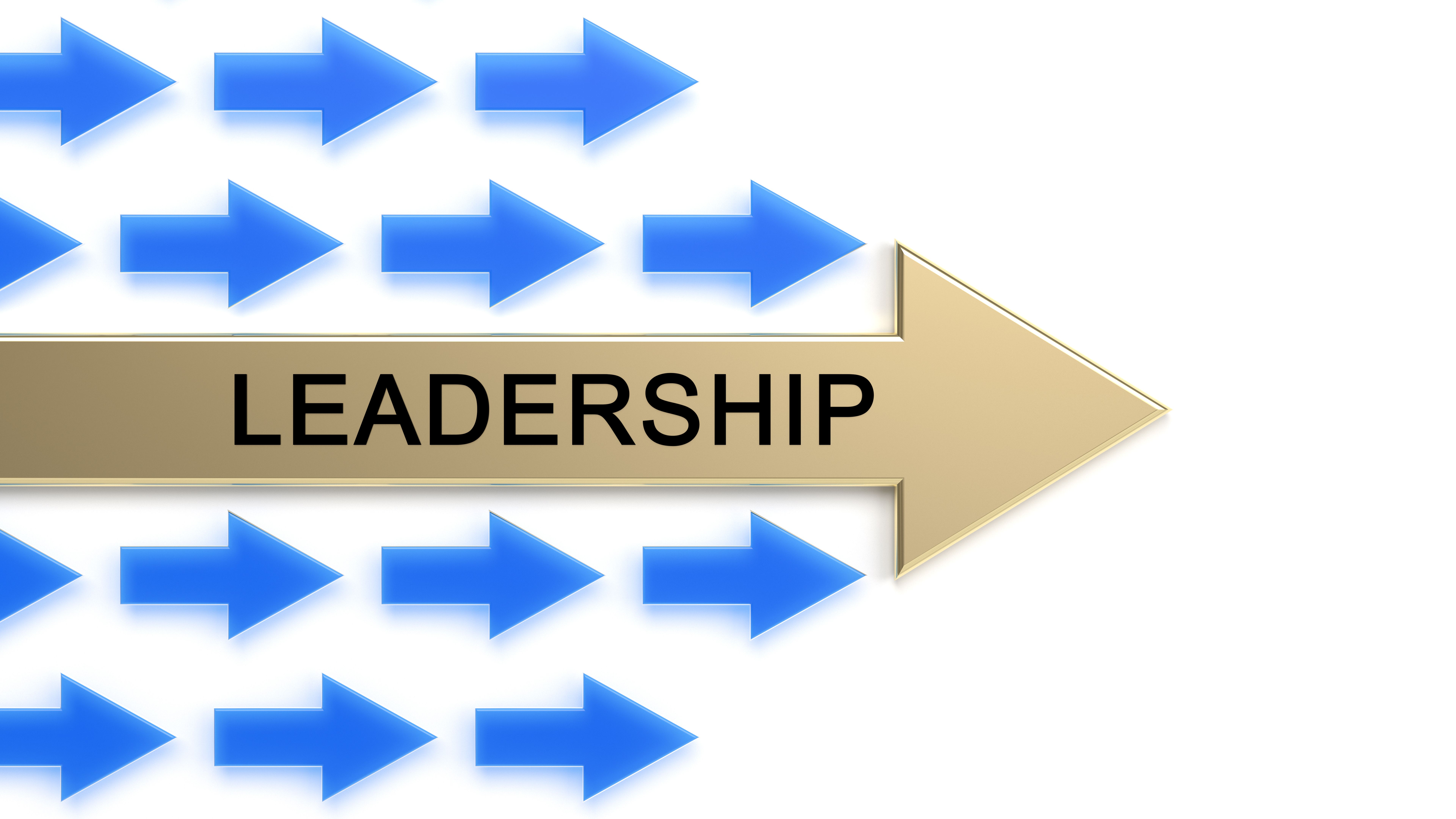 leadership program cost