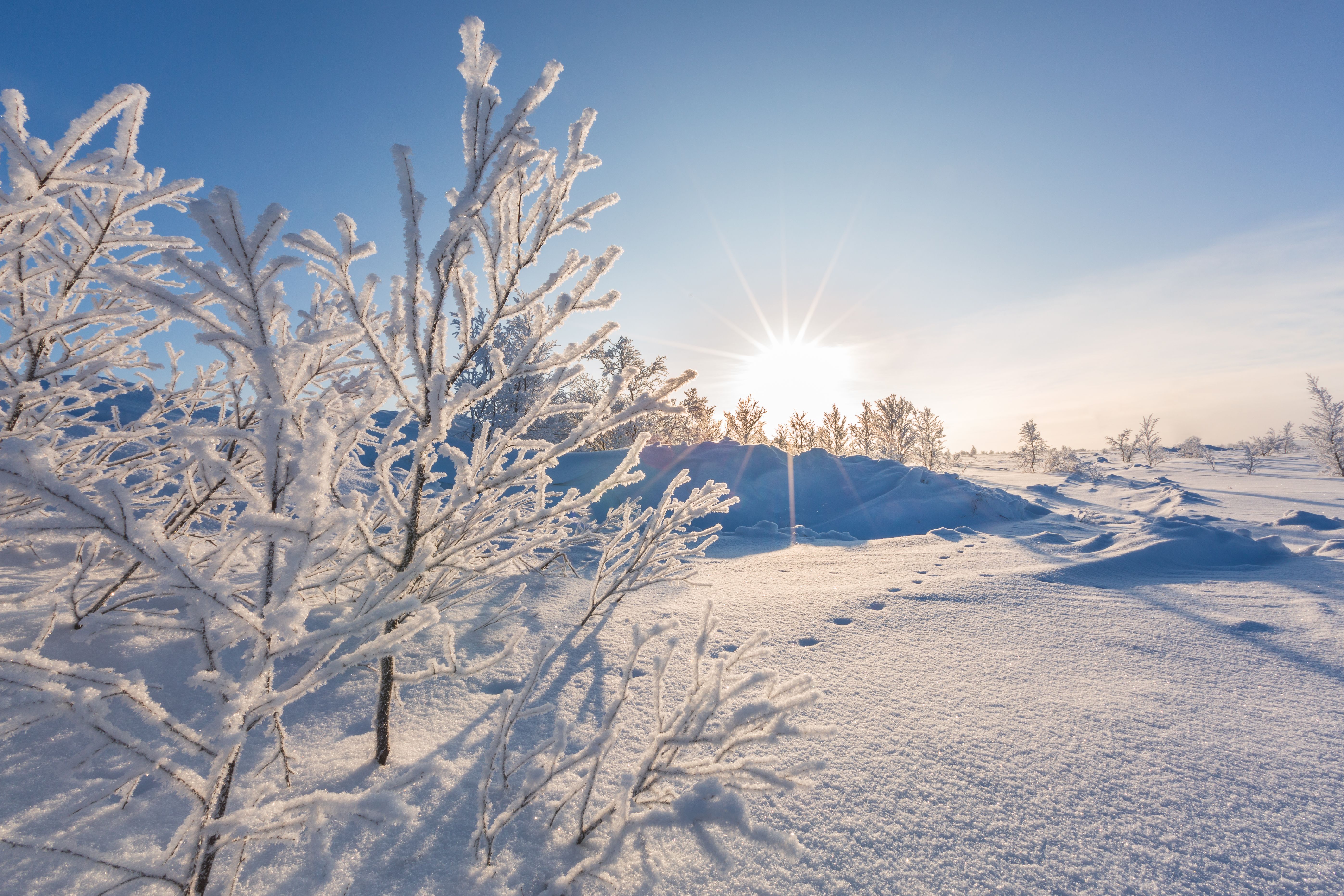 Norwegian winter landscape