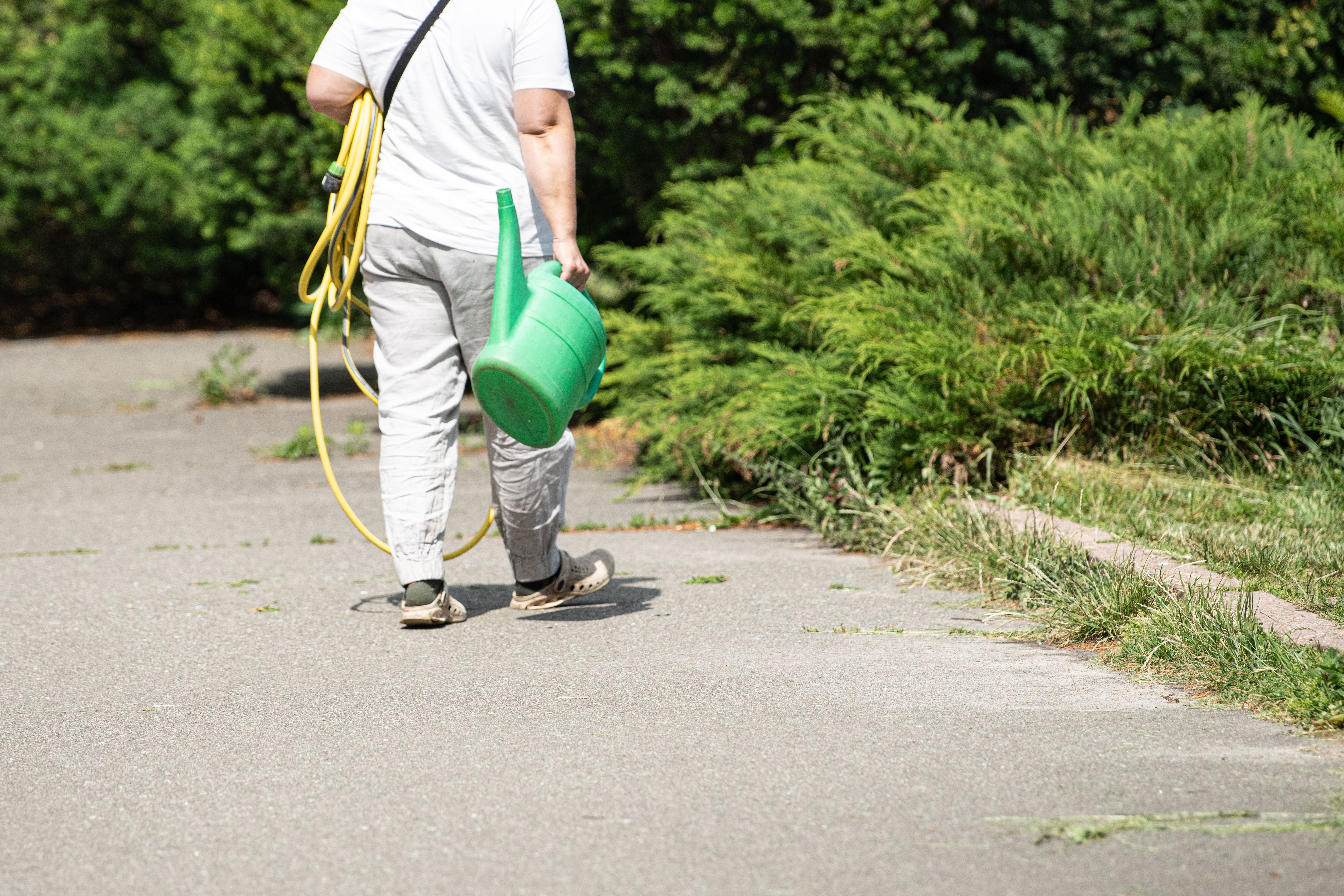 summer concrete care