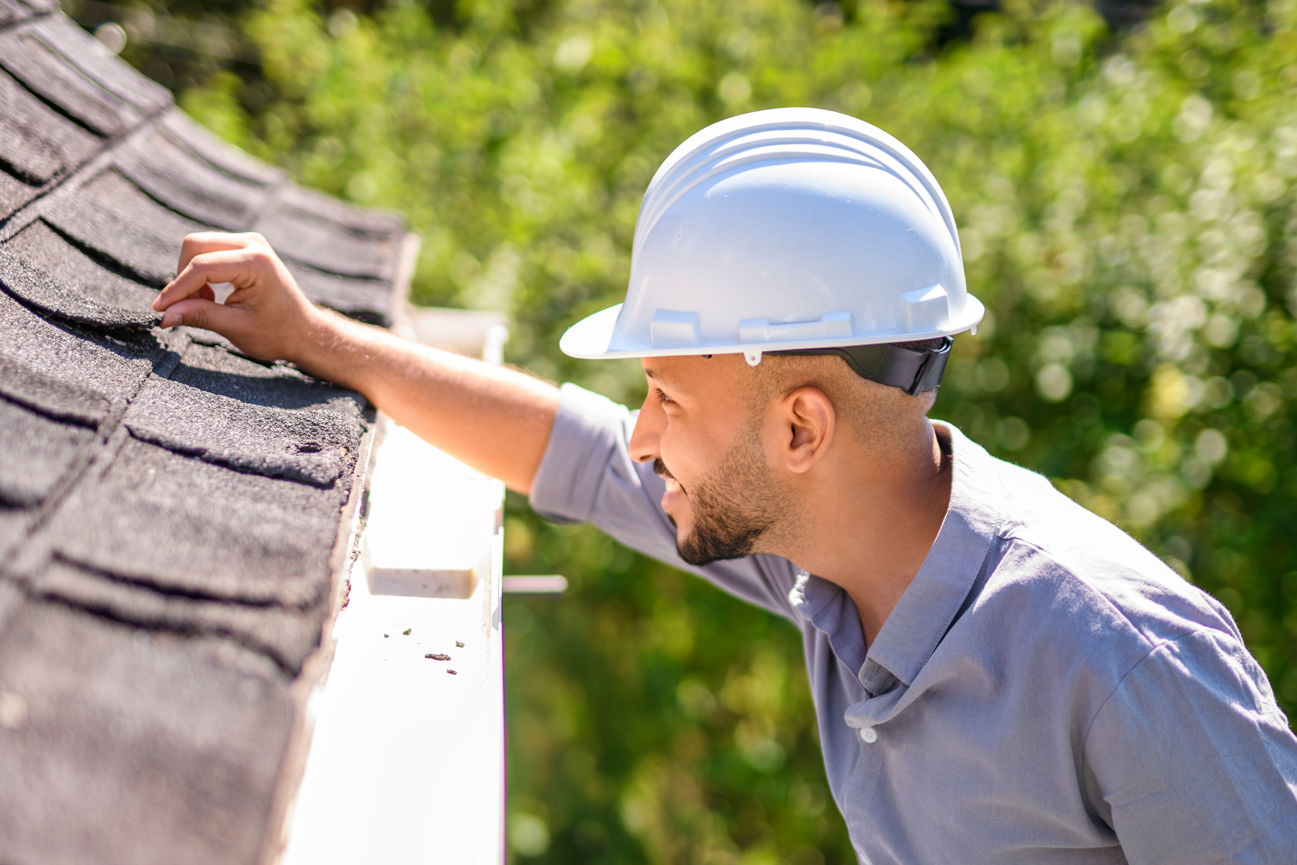 roof inspection professional