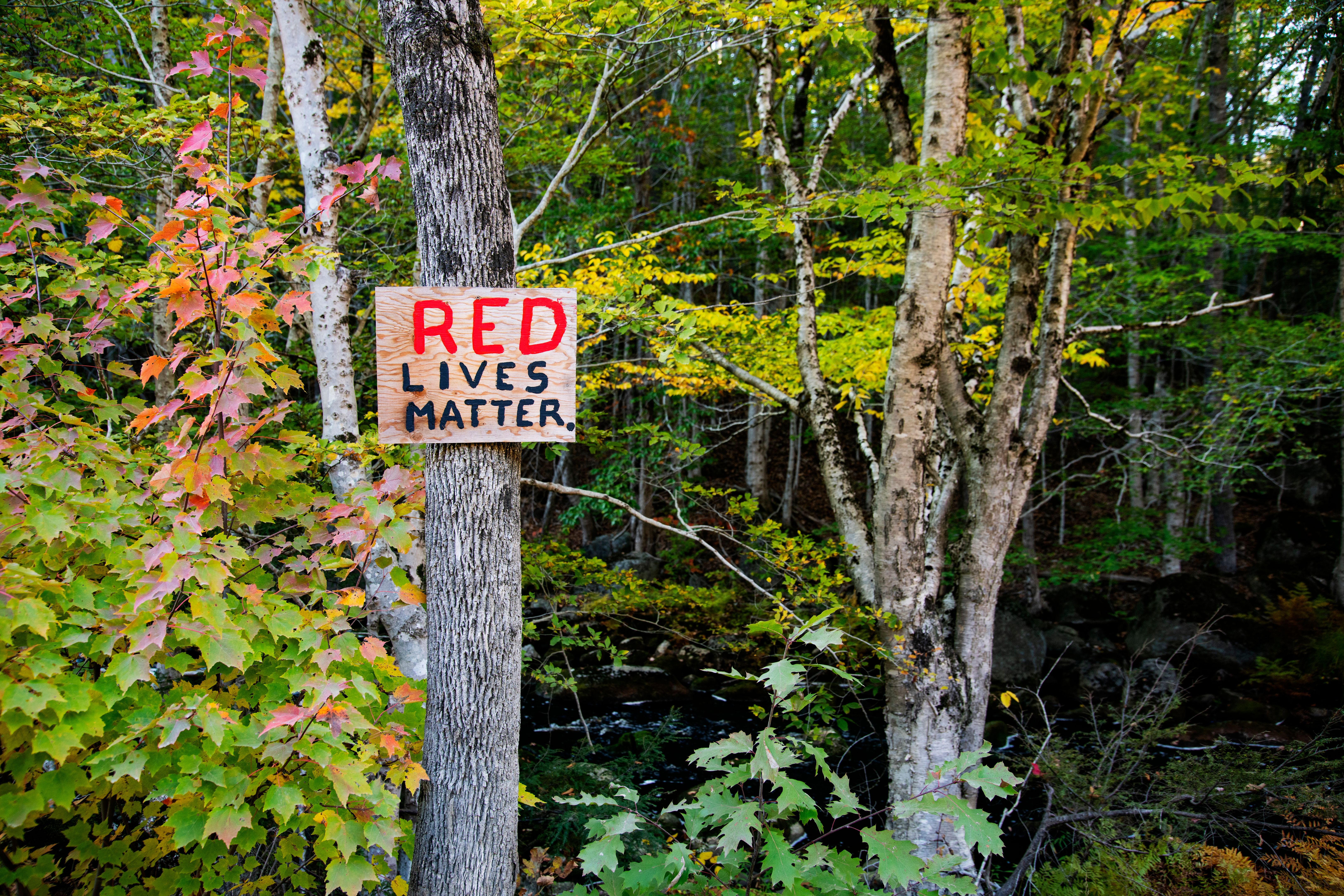 native american rights