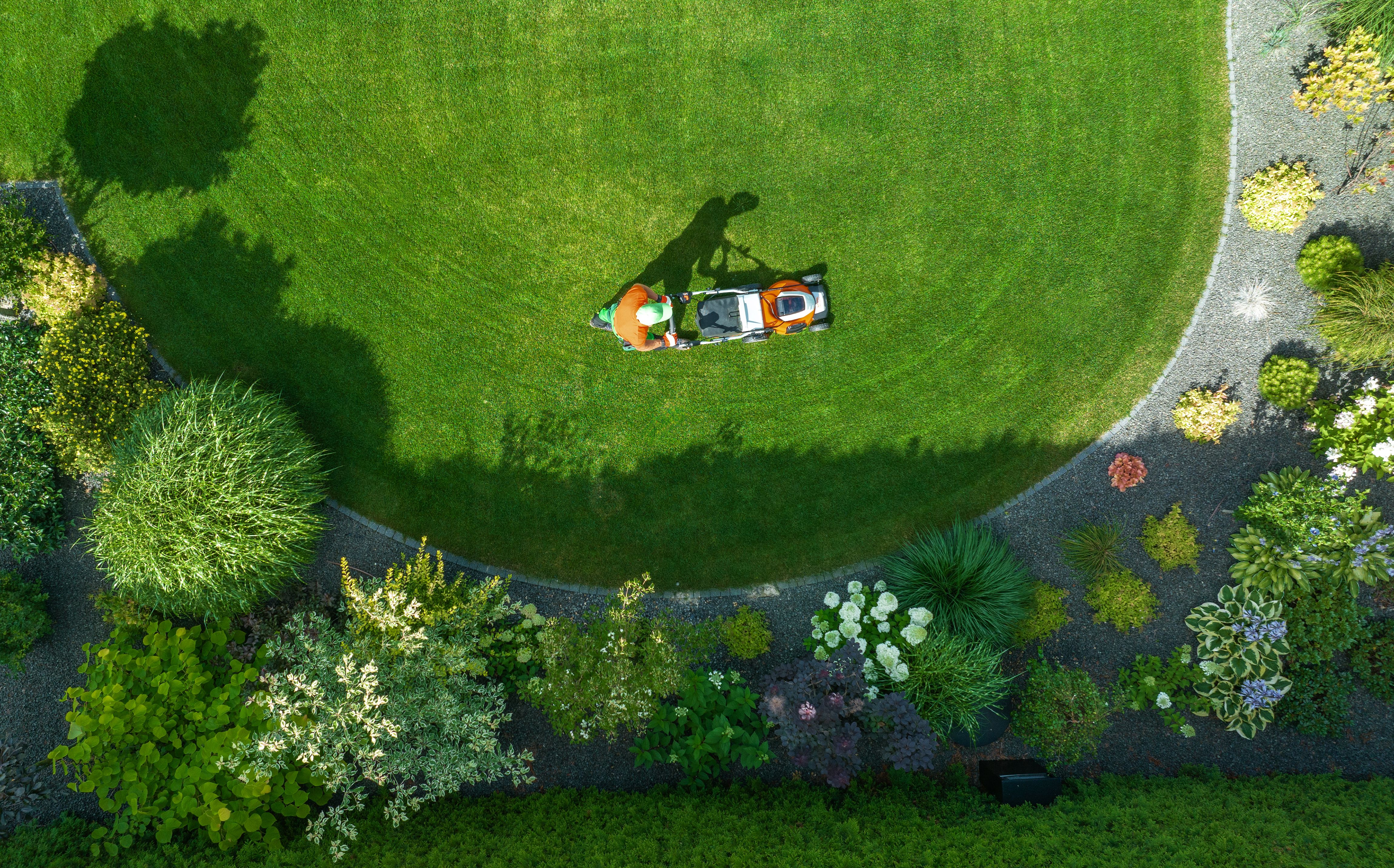 Person Mowing a Lush Green Lawn Surrounded by Vibrant Flowers in a Residential Garden