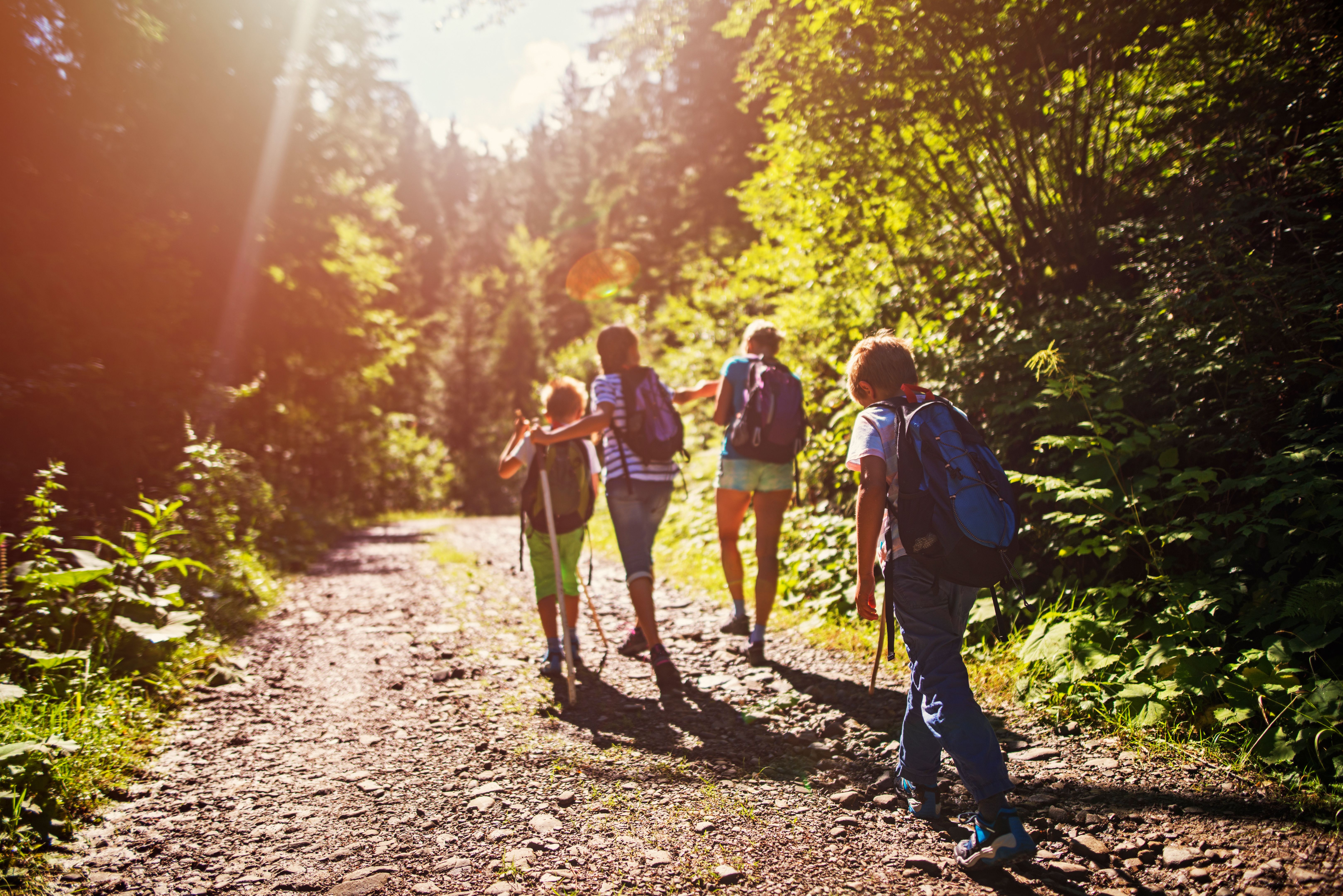 Mother and kids hiking in sunny forest