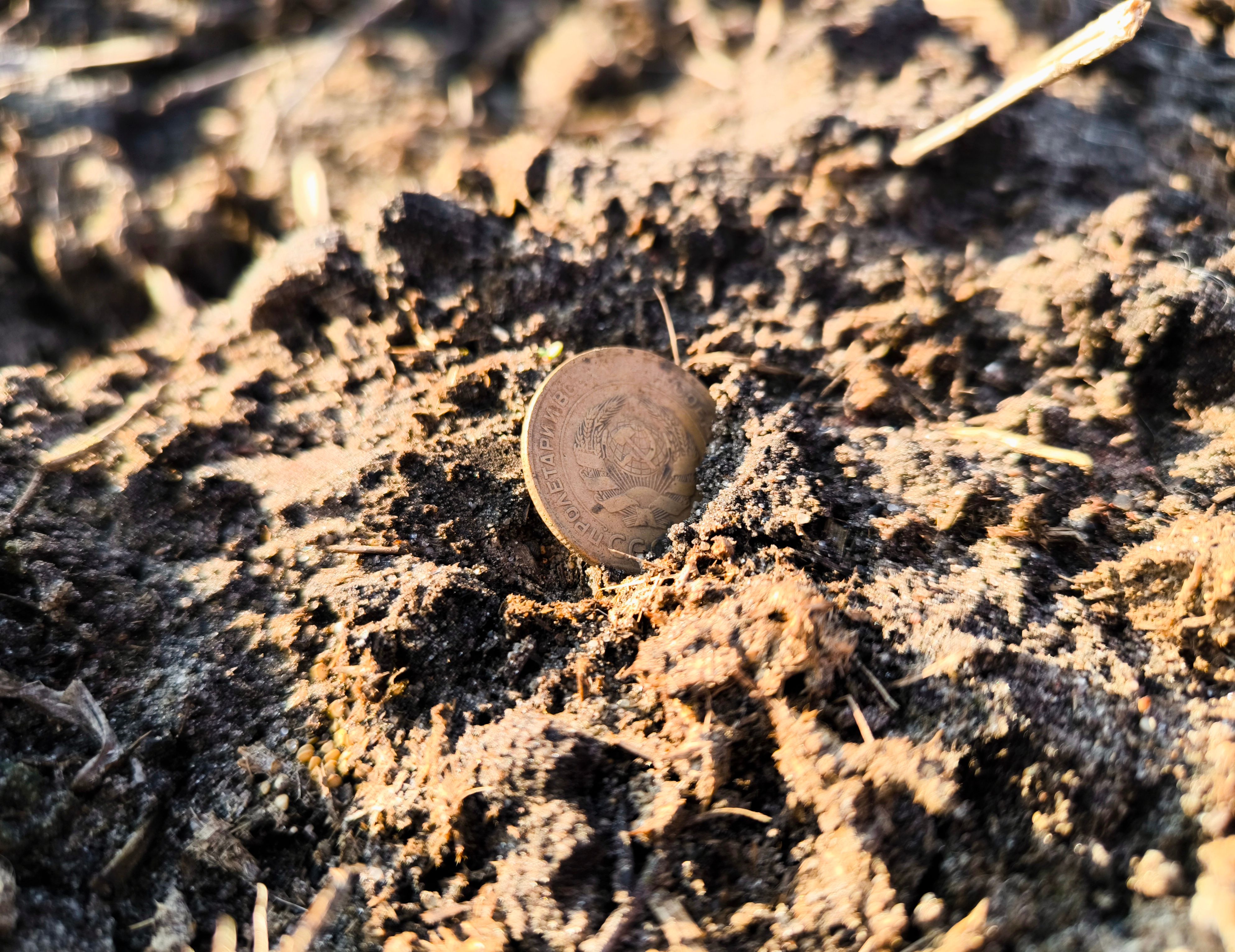 metal detector field