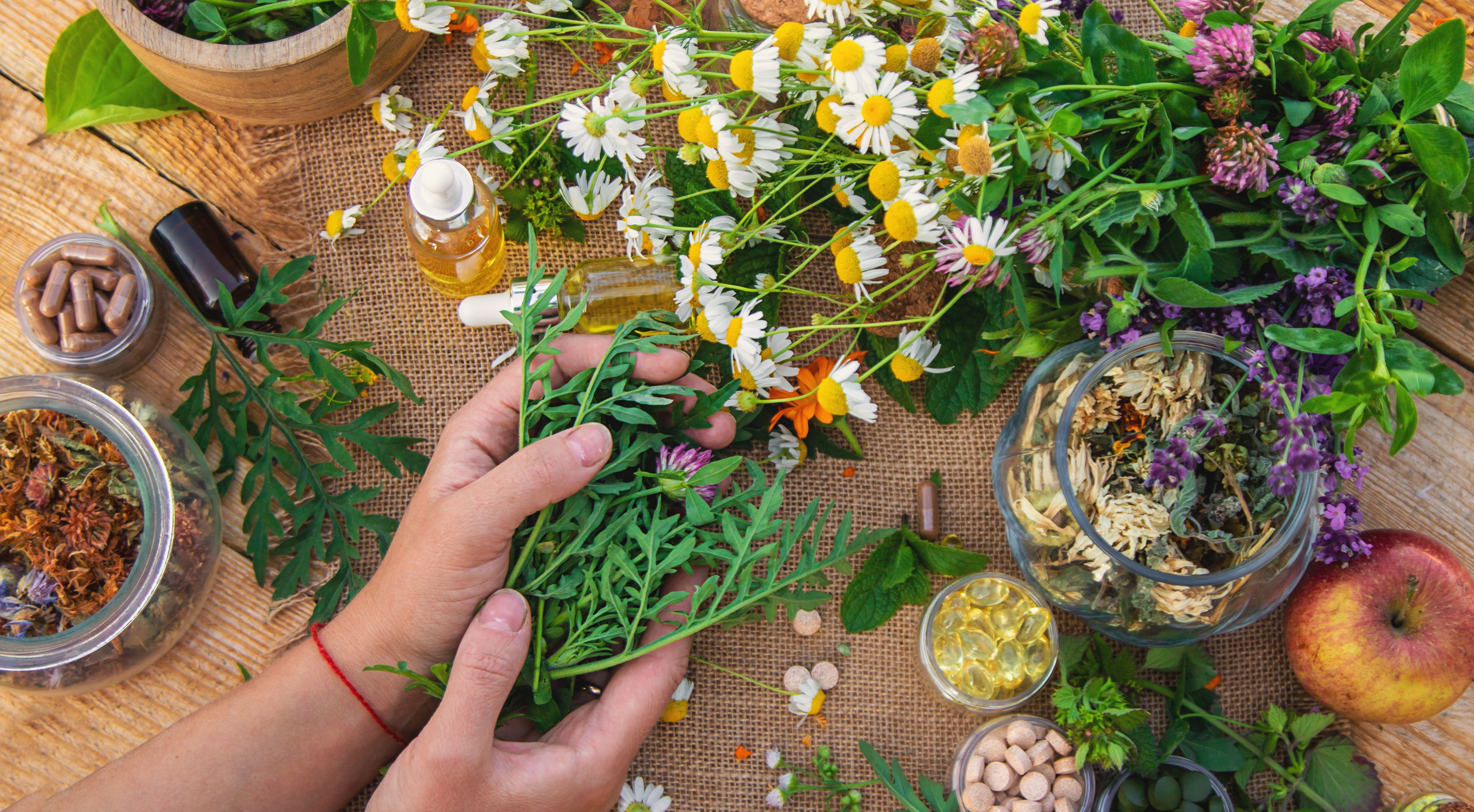 herbal treatment