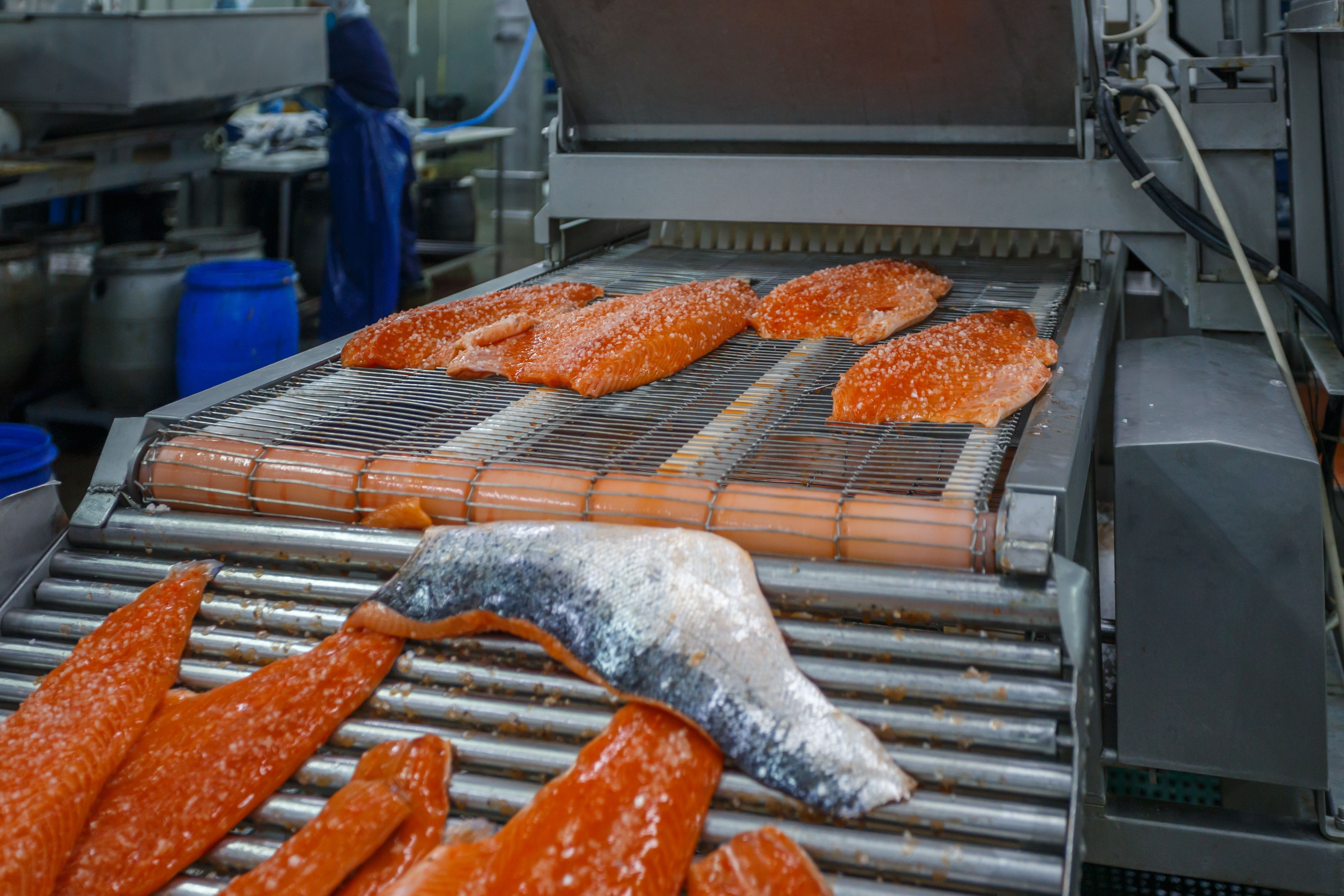 factory production line