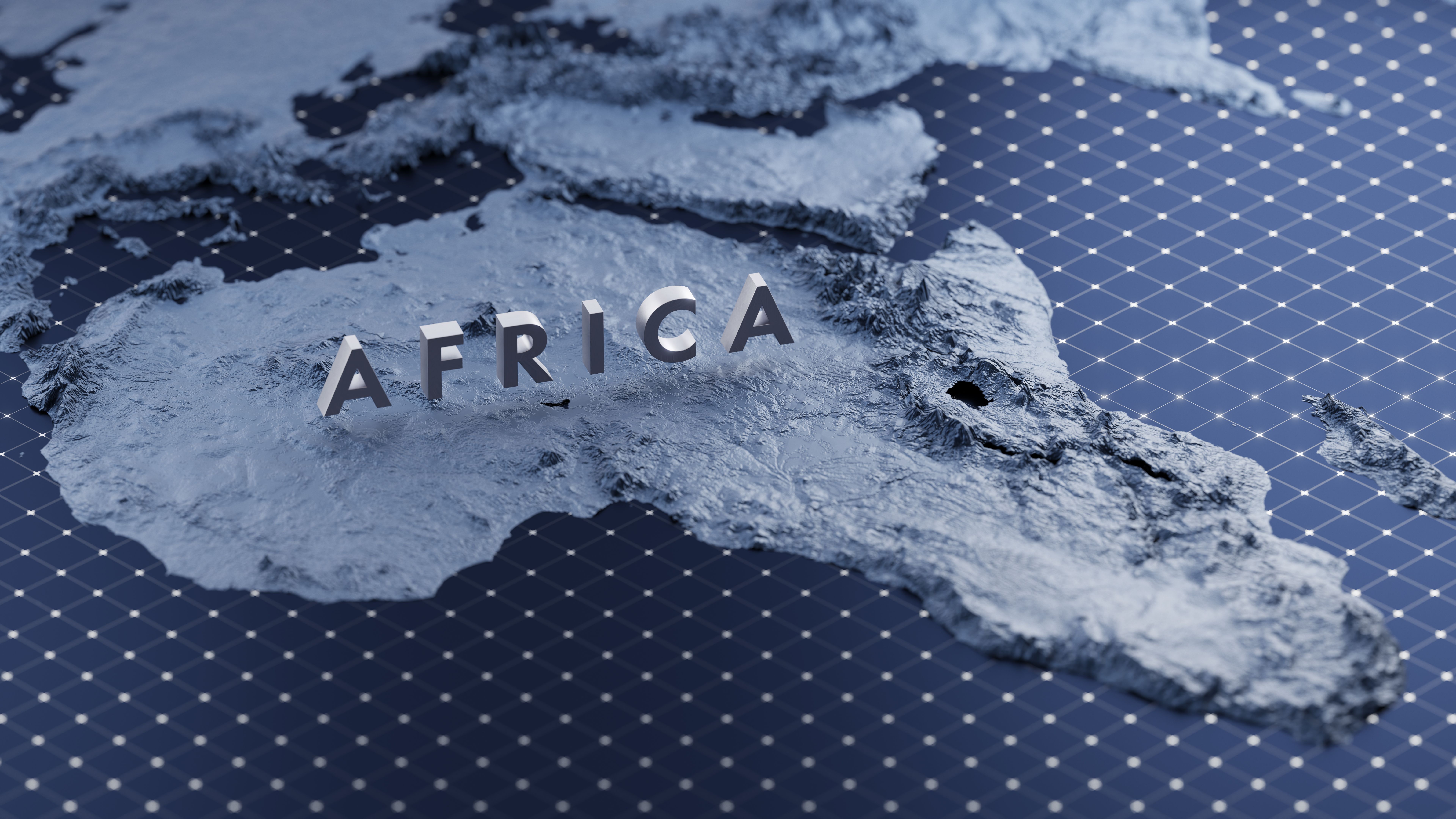 african cosmos