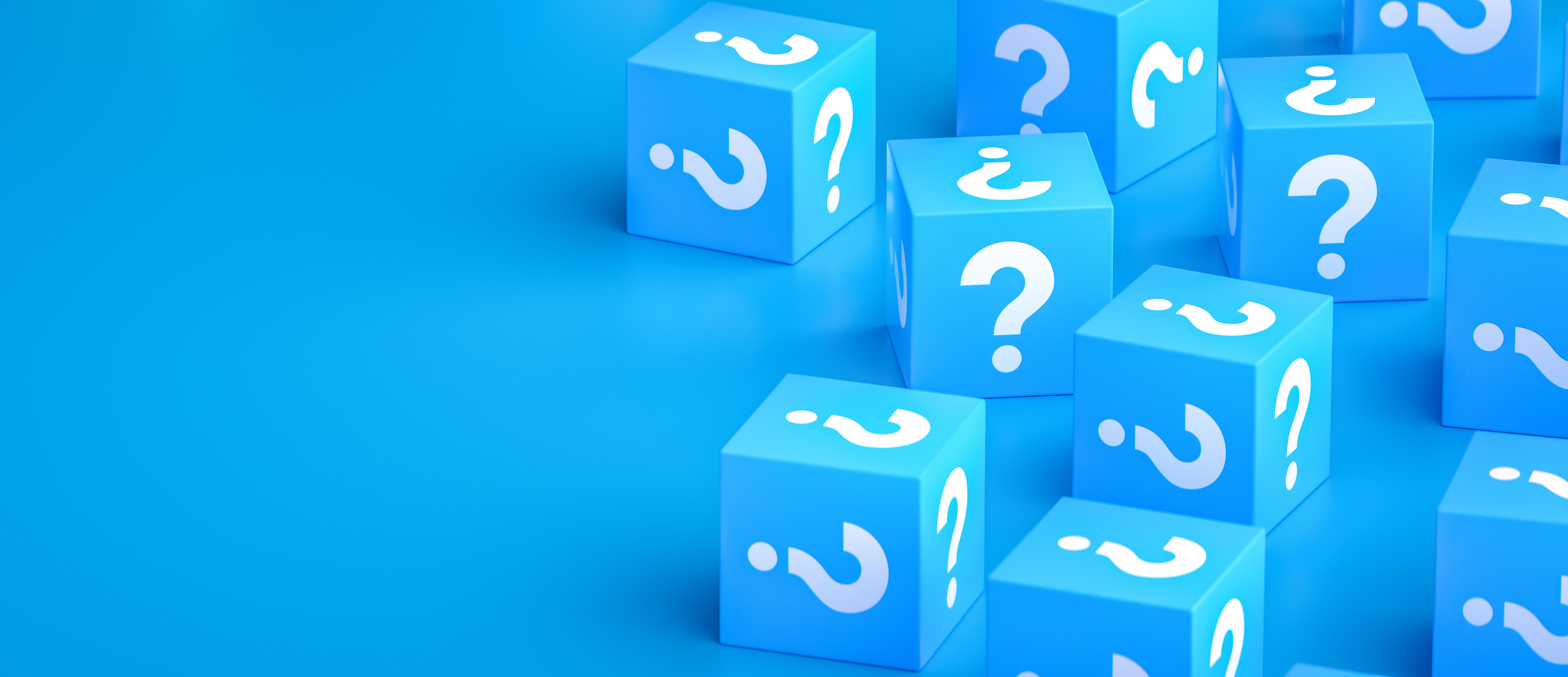 focus group feedback