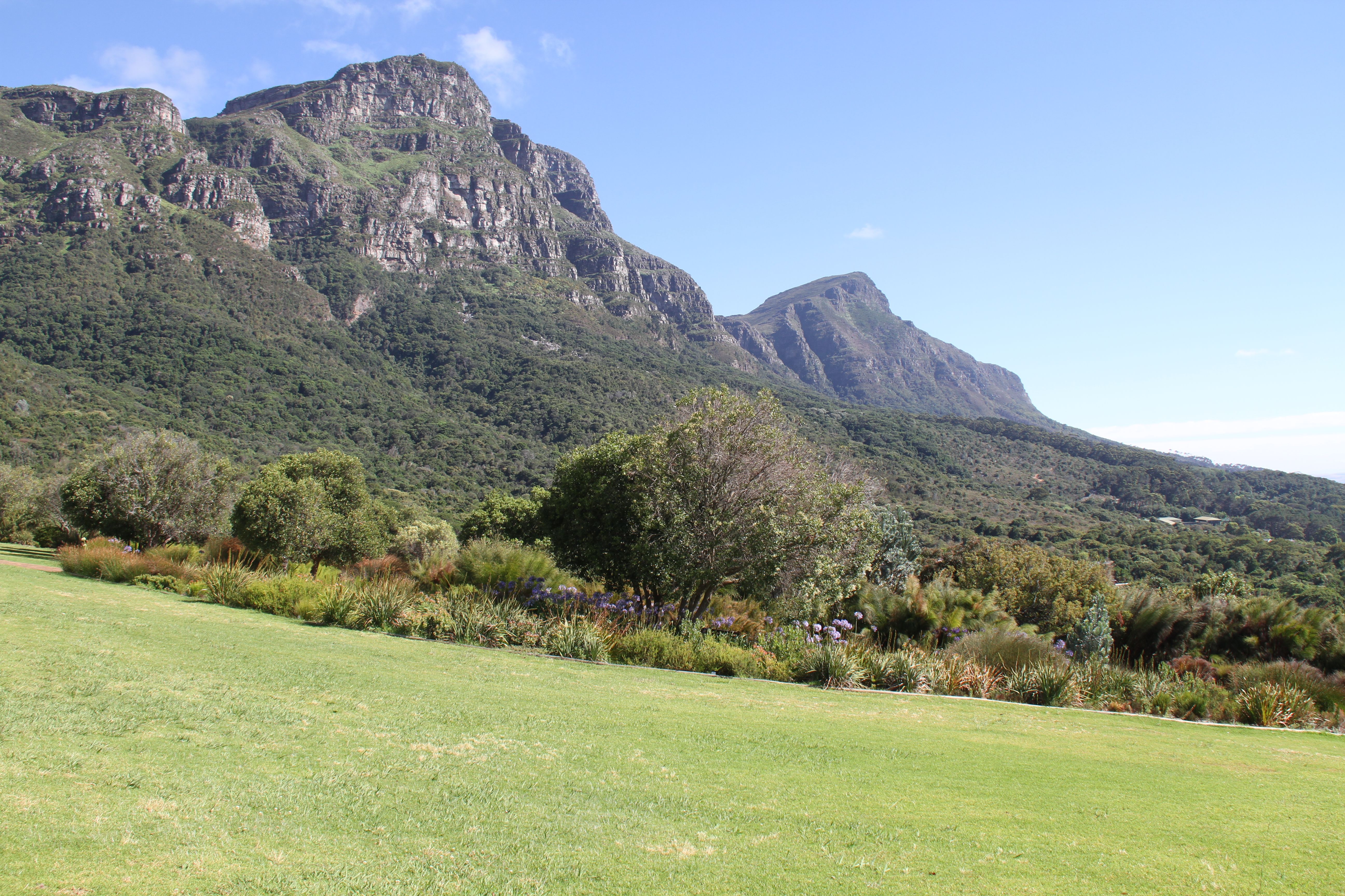Kirstenbosch concert