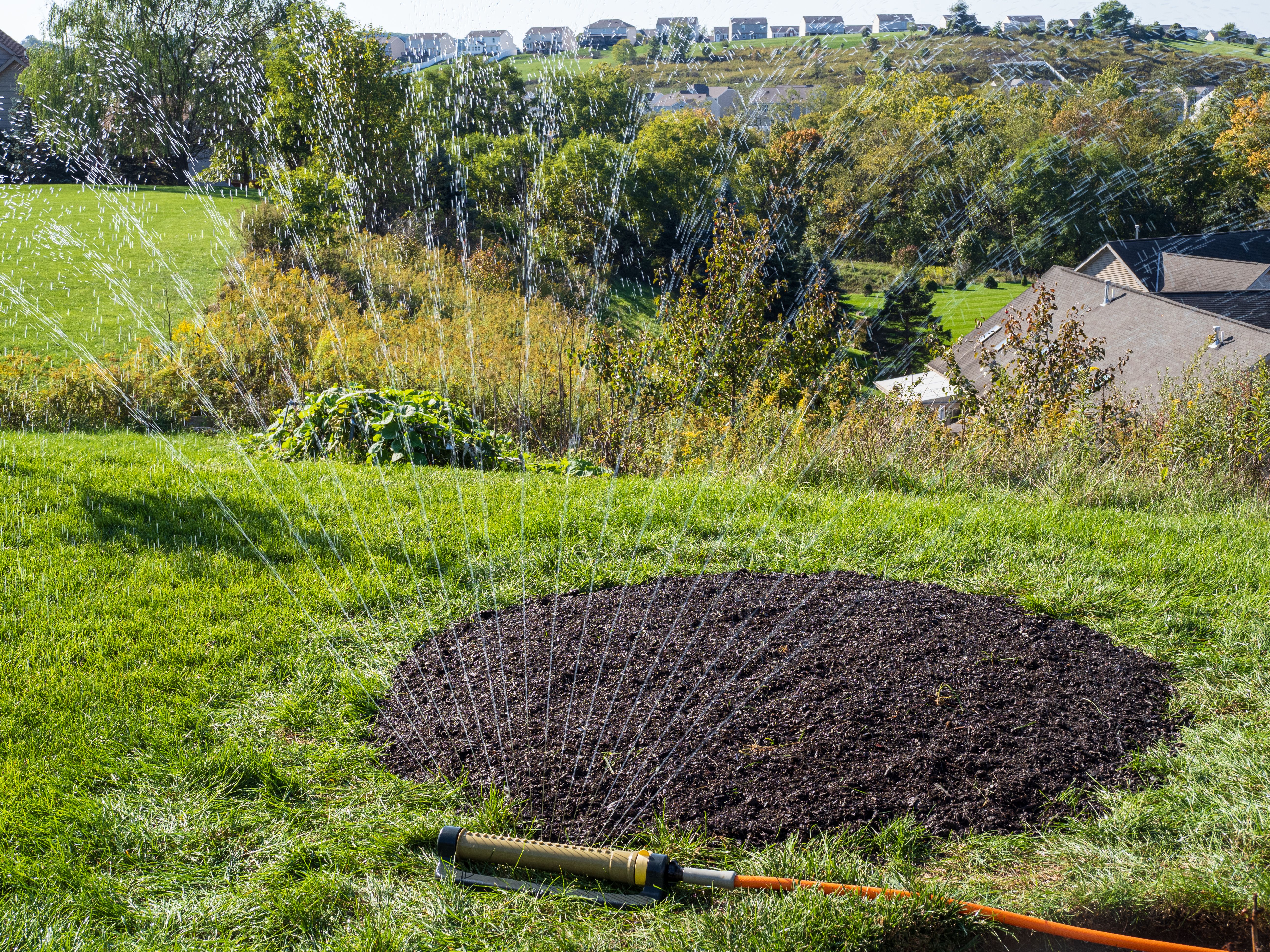 fire sprinkler maintenance