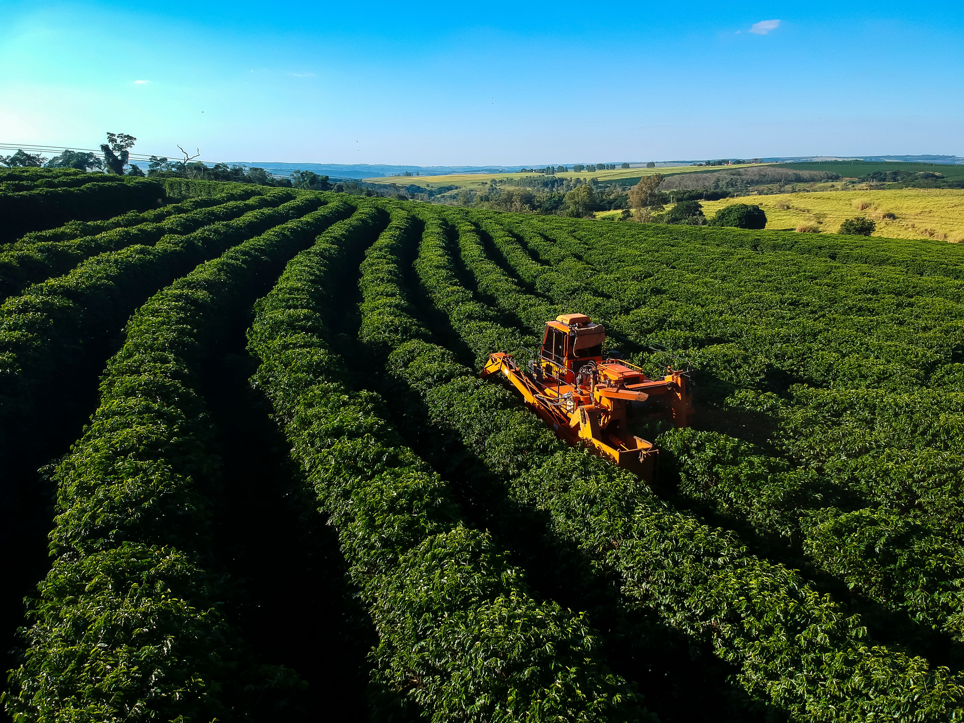Brazilian agriculture