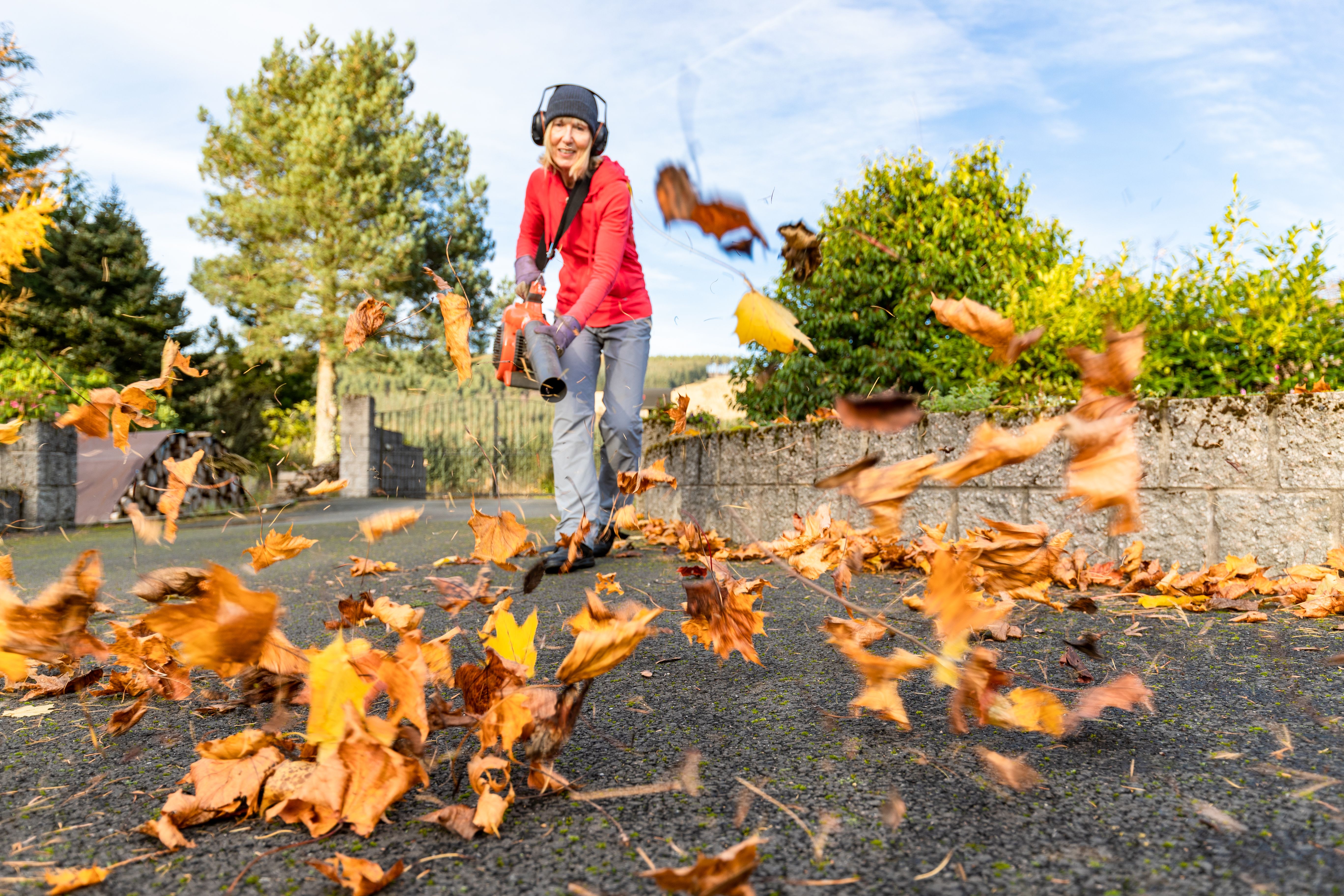 leaf blower driveway