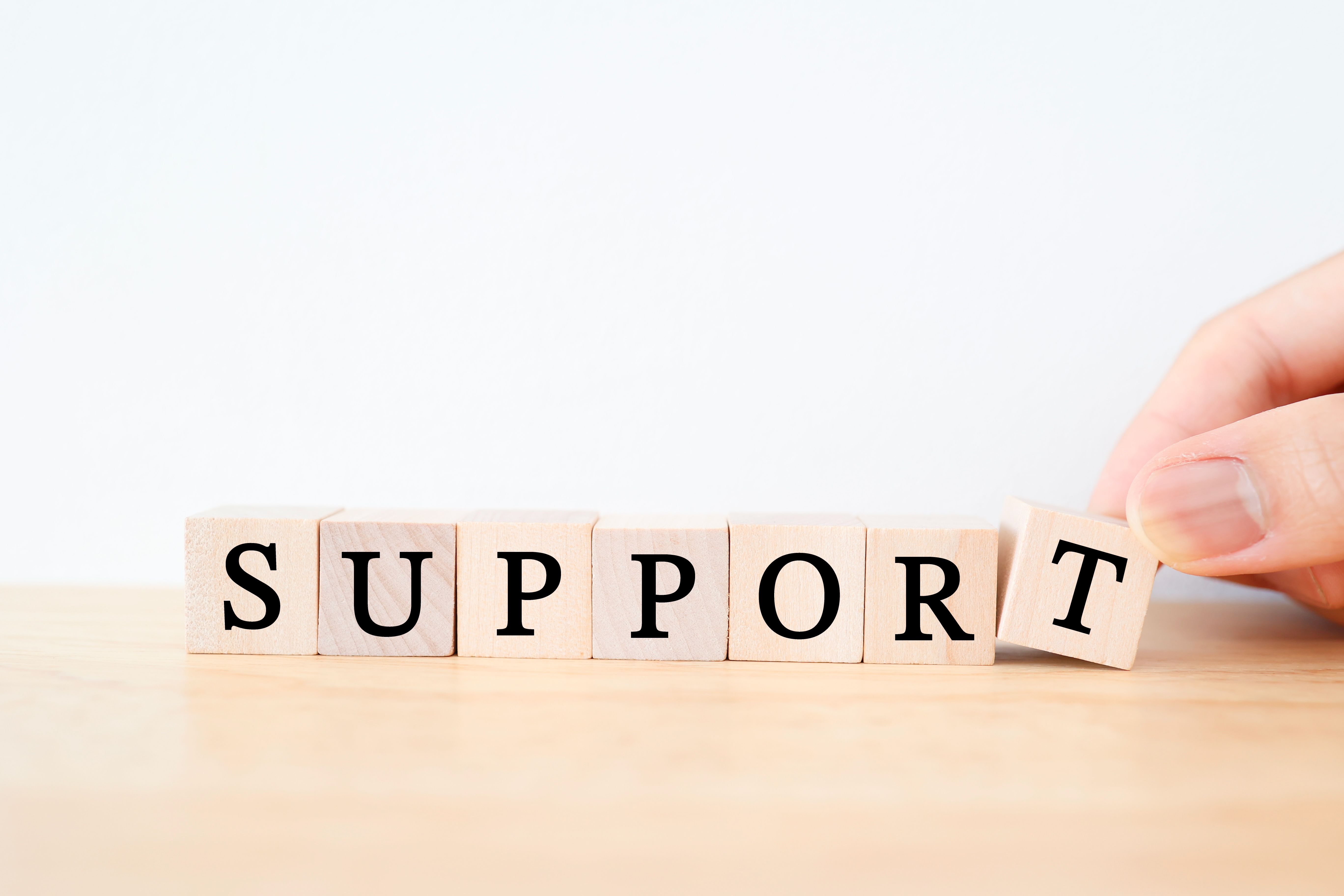 expert guidance support