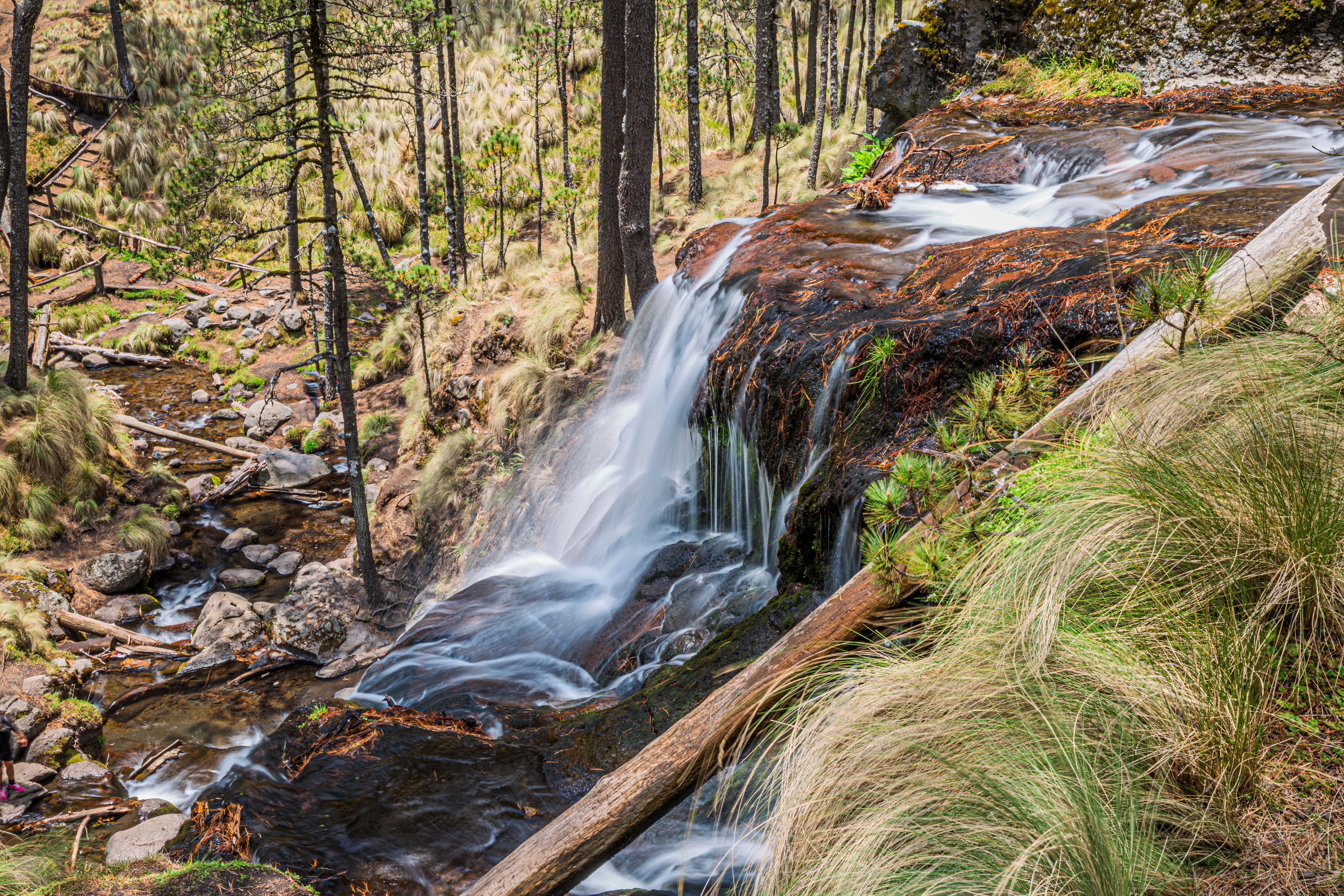 eco-friendly de-icing