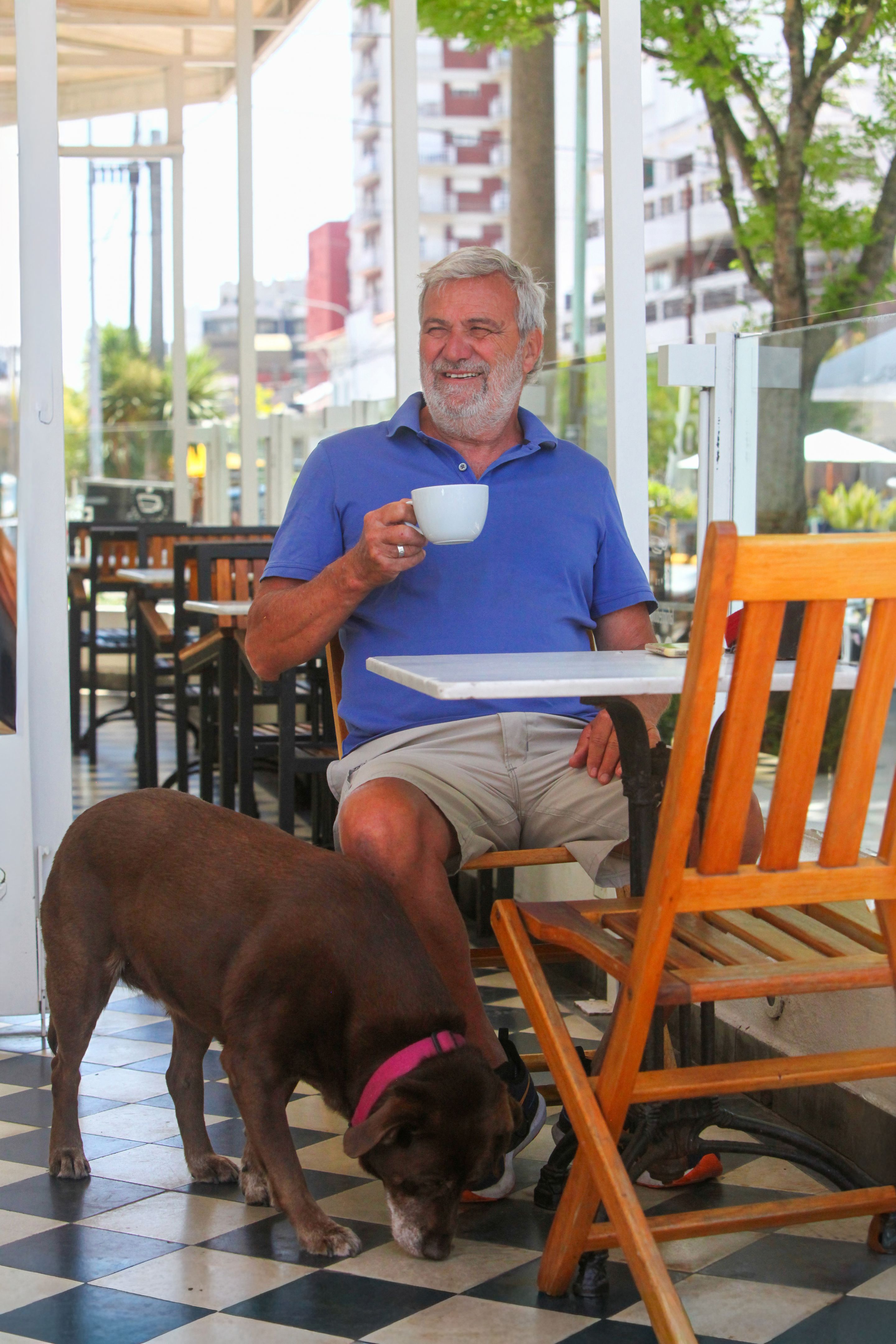 dog friendly restaurant