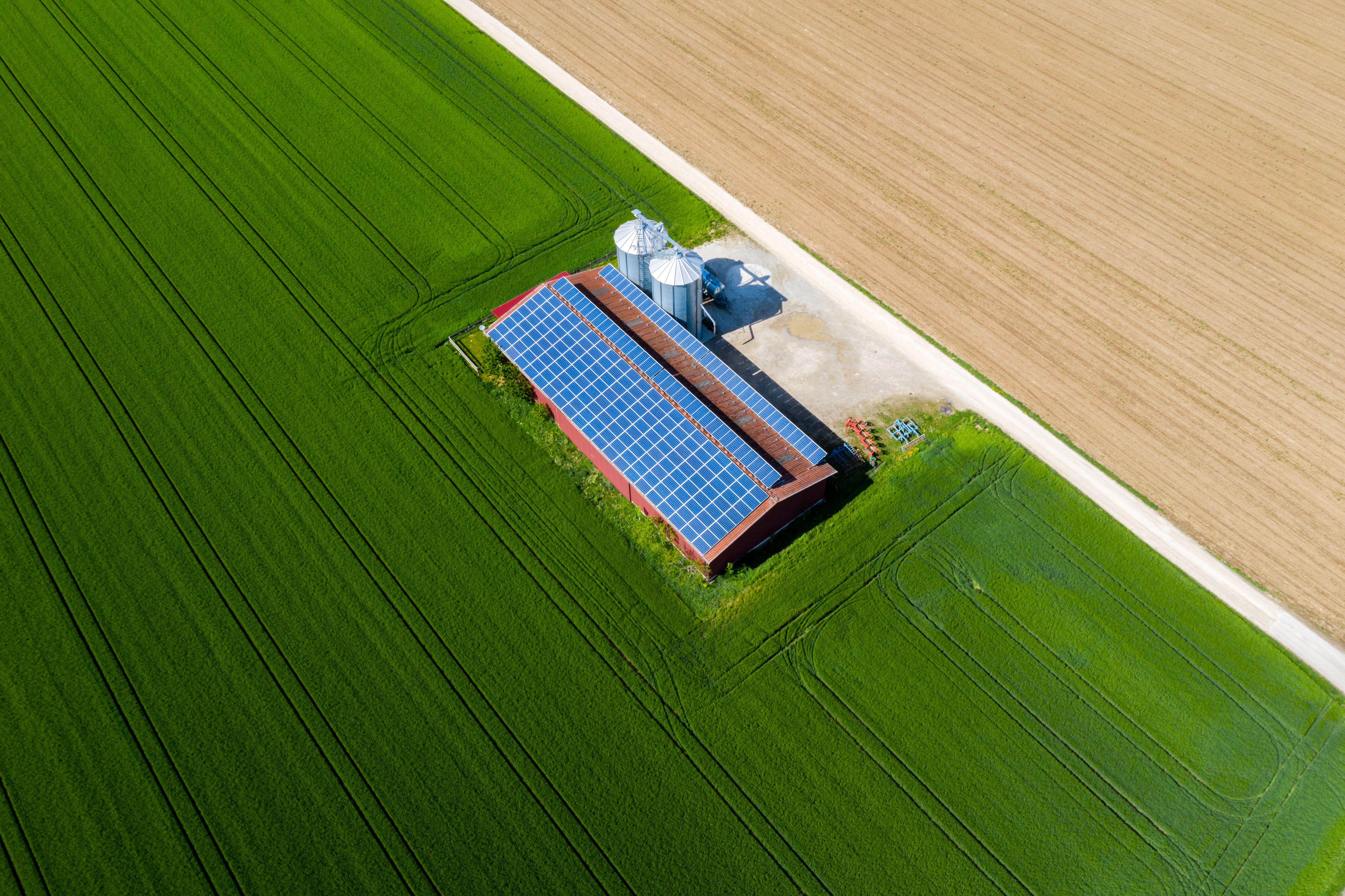 solar panels farming