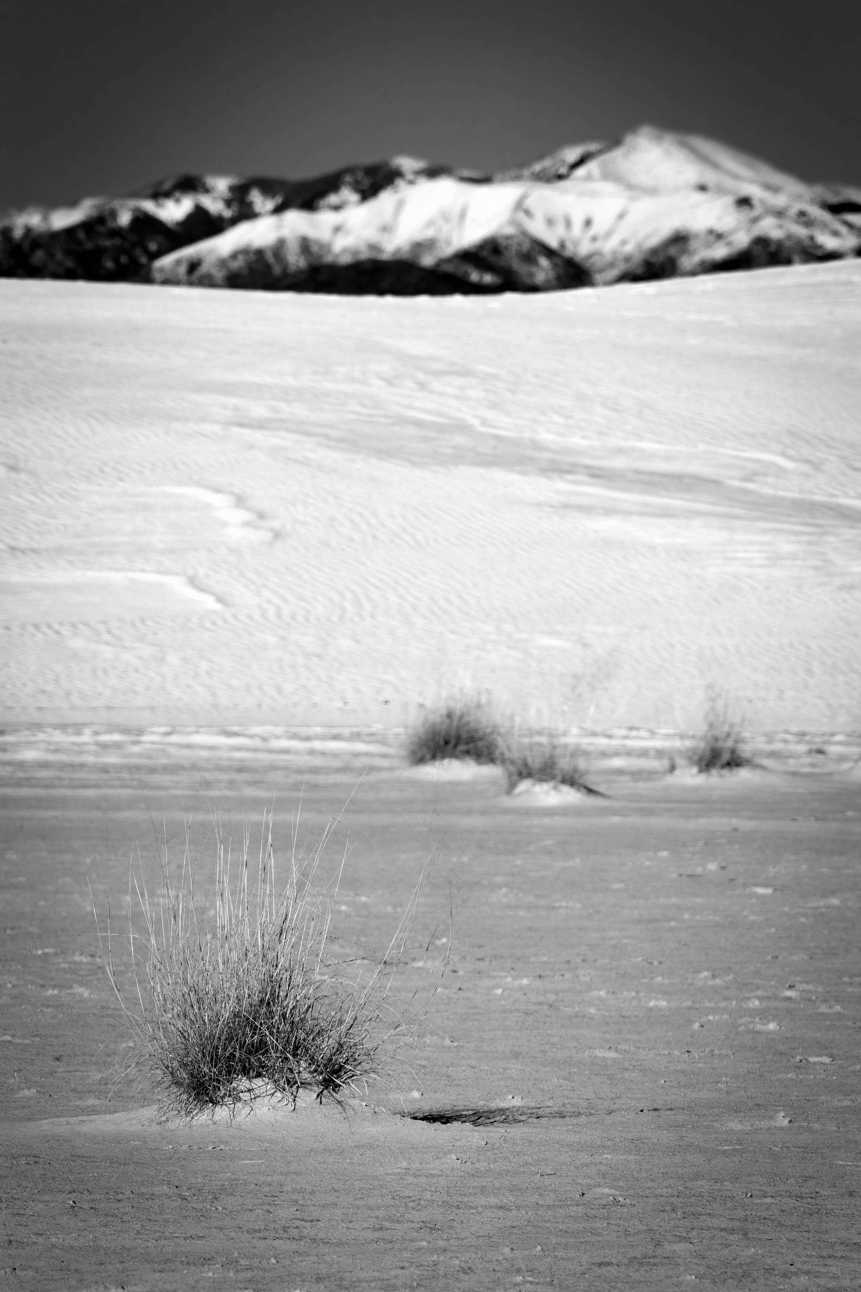 sierra blanca mountains