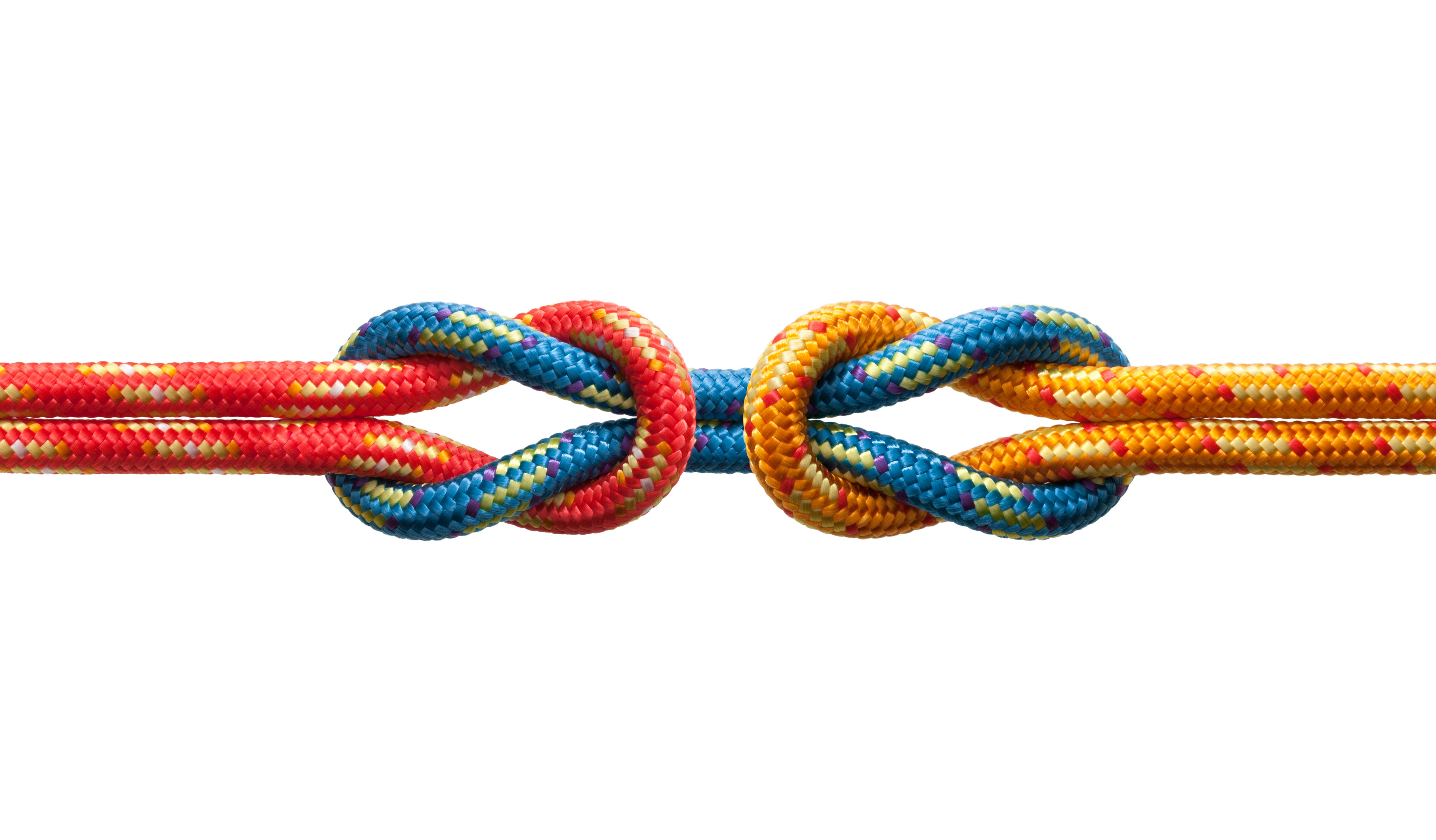reliability trust