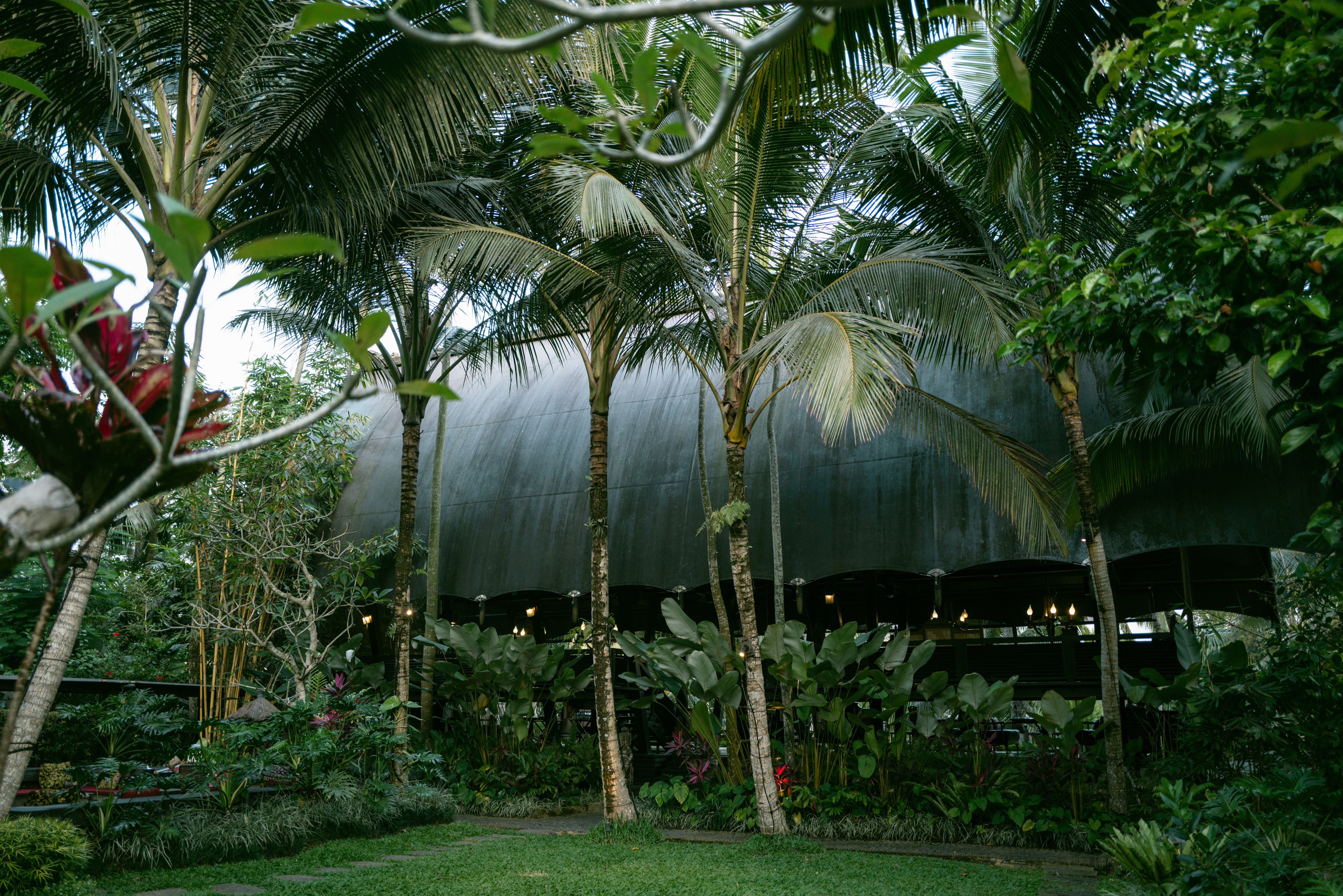 eco friendly hotel design
