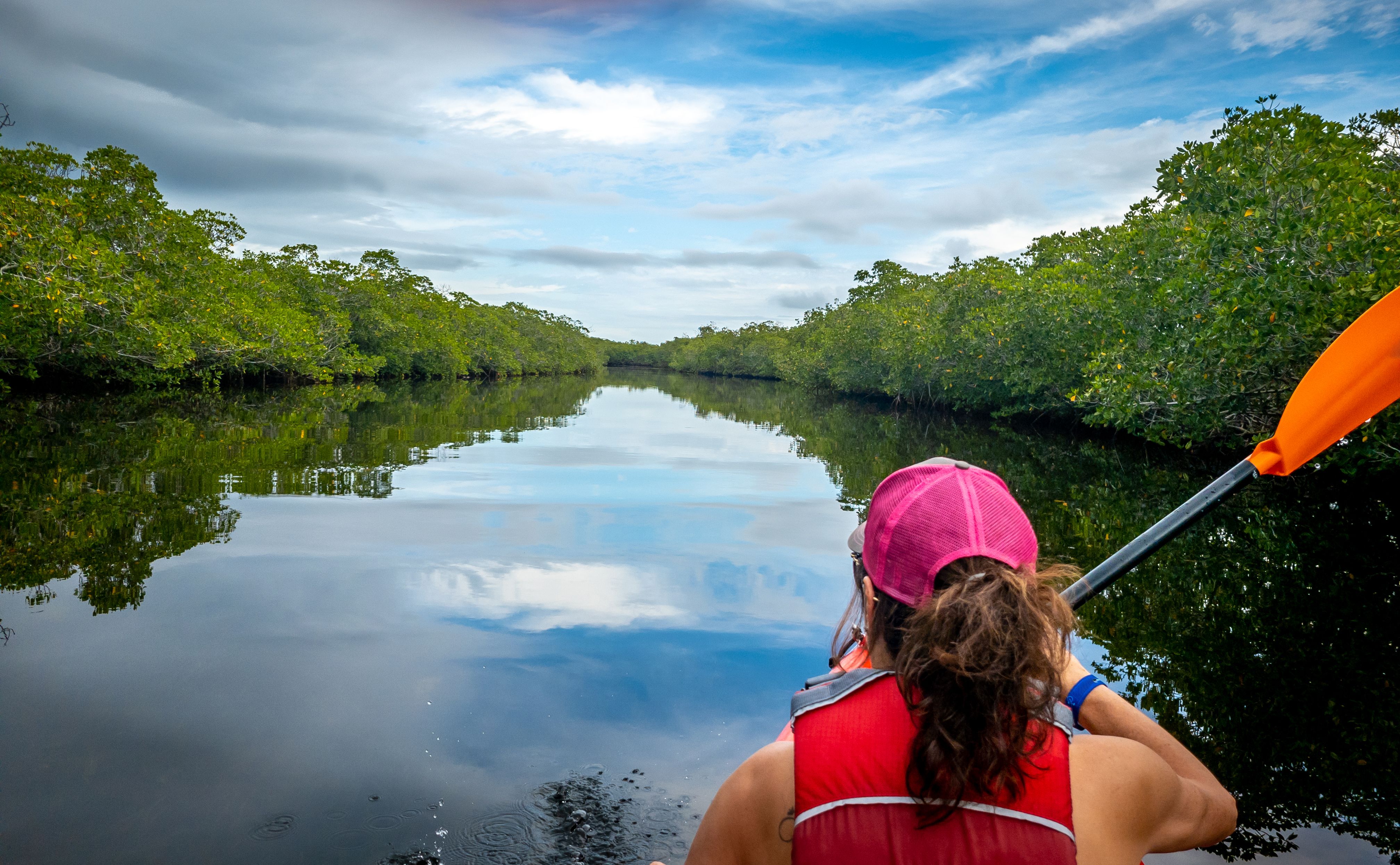 mangrove kayaking