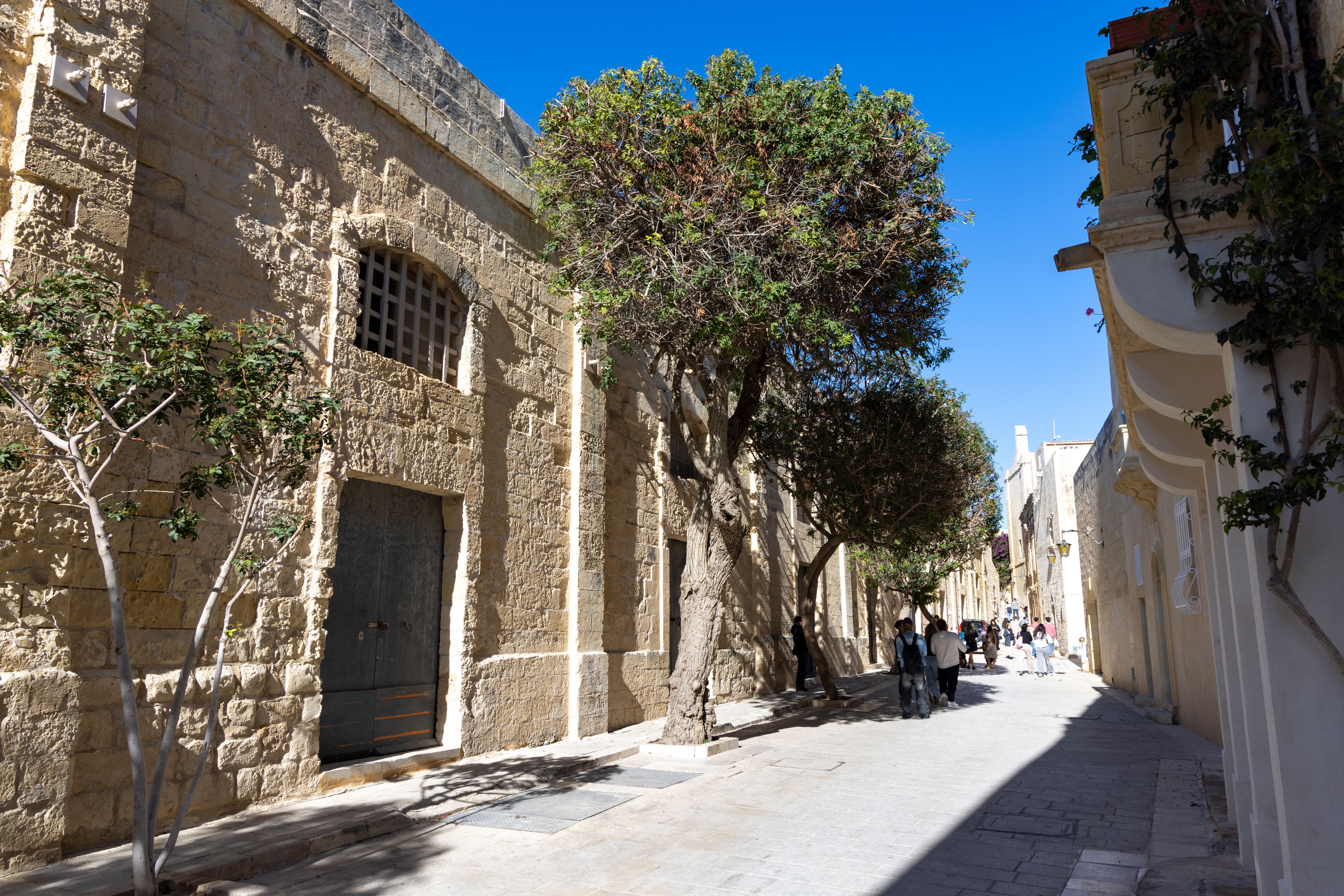 mdina city view