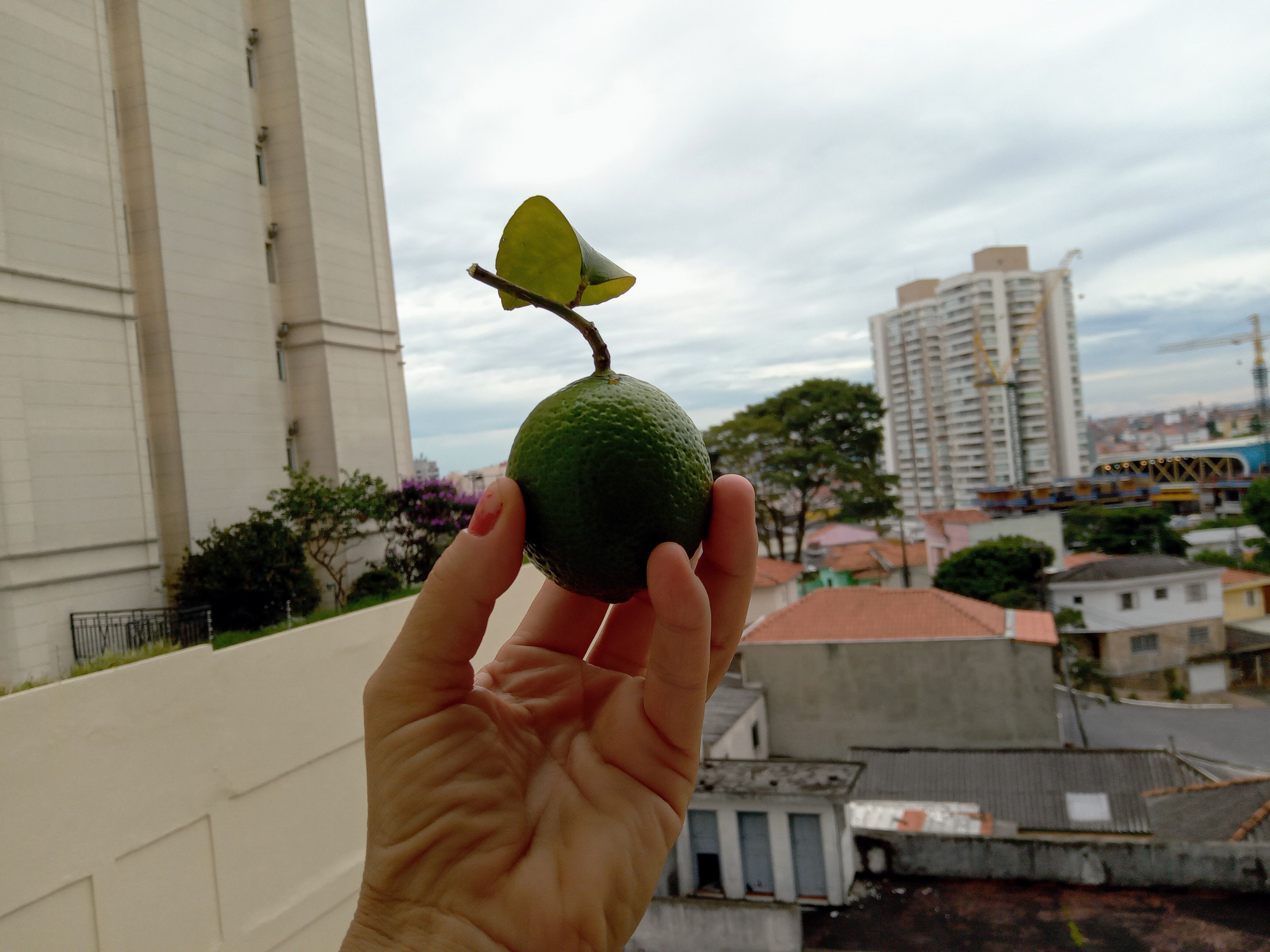 clima limeira