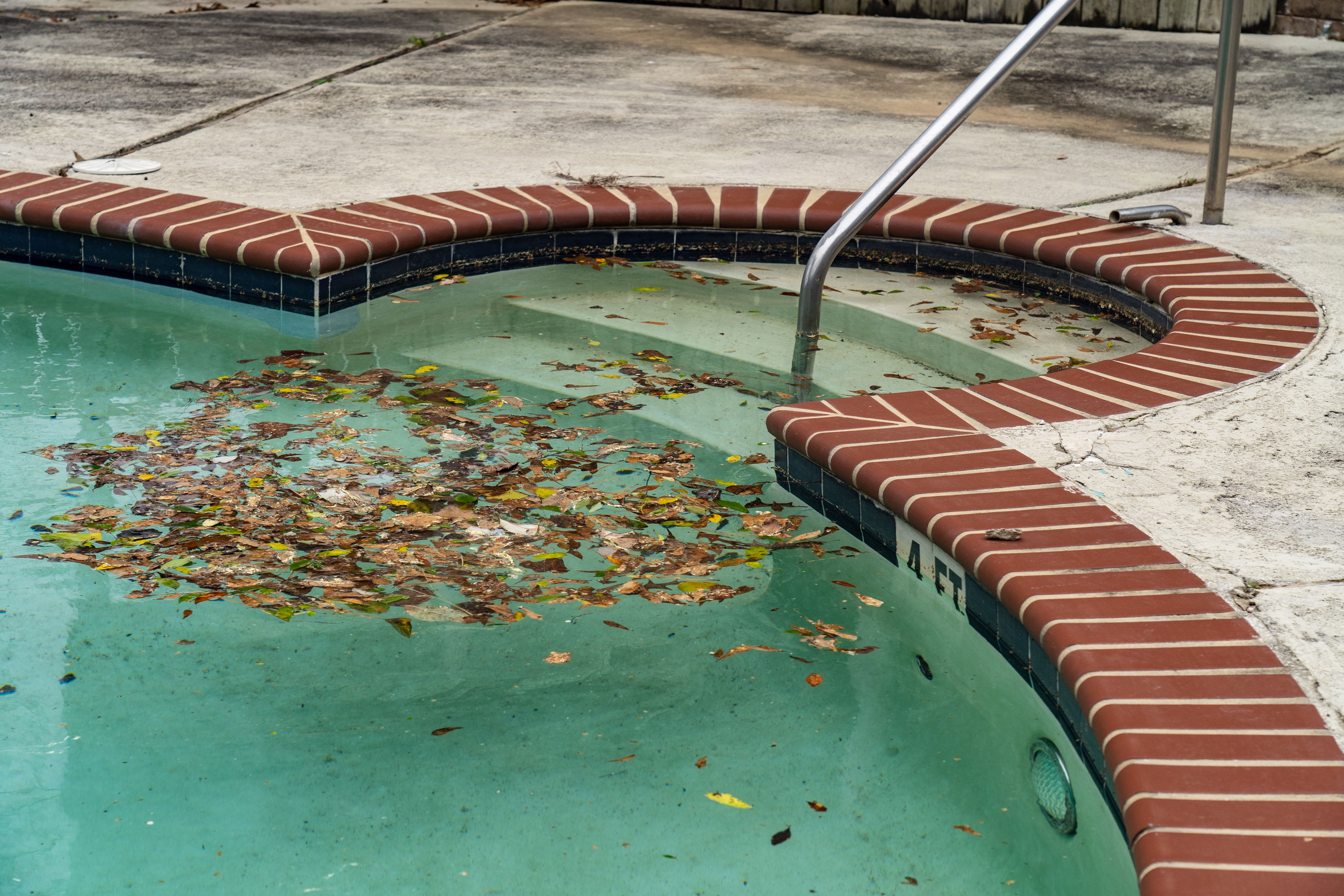Dirty pool covered in leaves