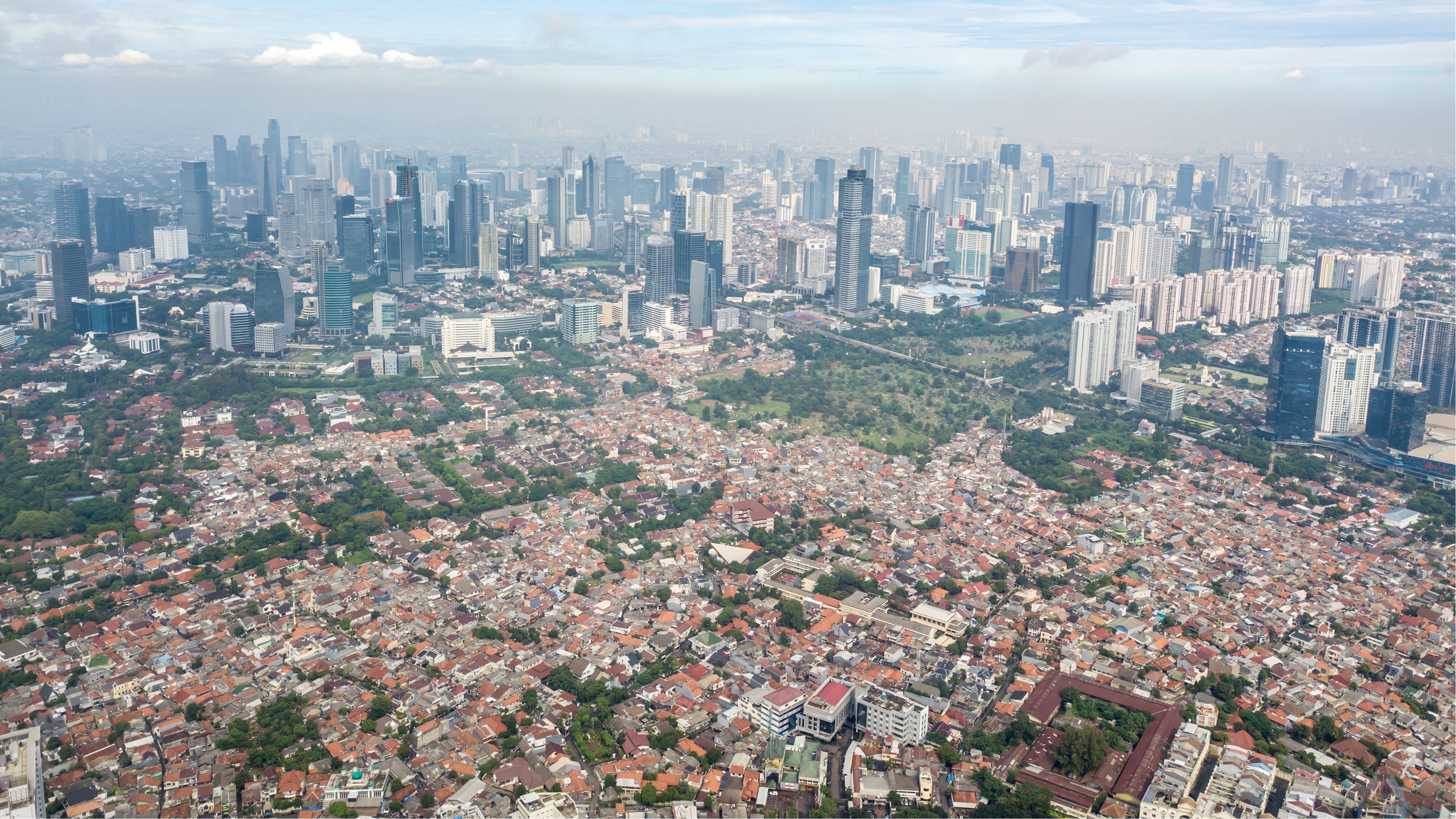 indonesia demographics