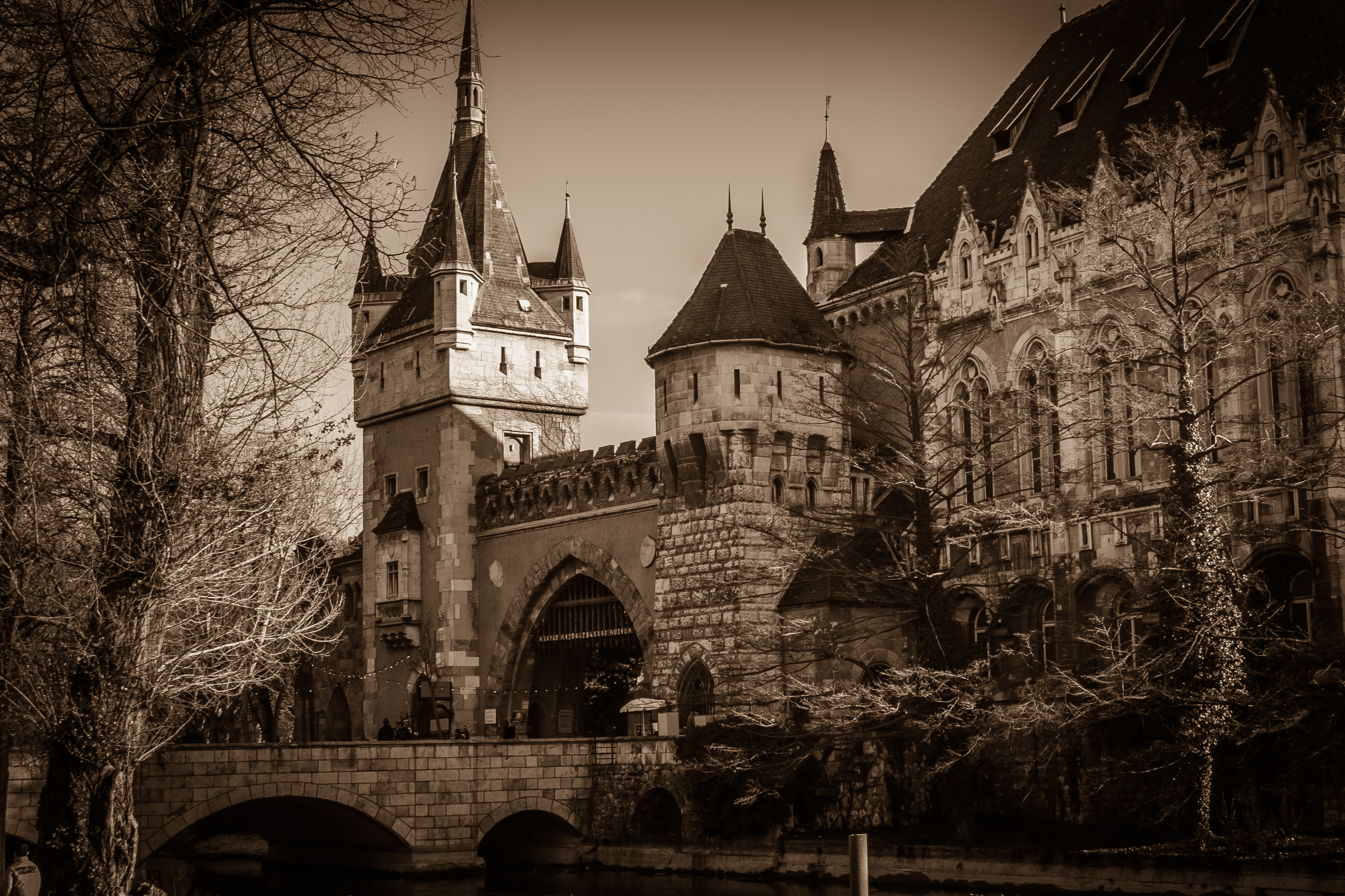 Dark view of Vajdahunyad castle, one of the romantic castles in Budapest, Hungary, located in the City Park by the boating lake / skating rink