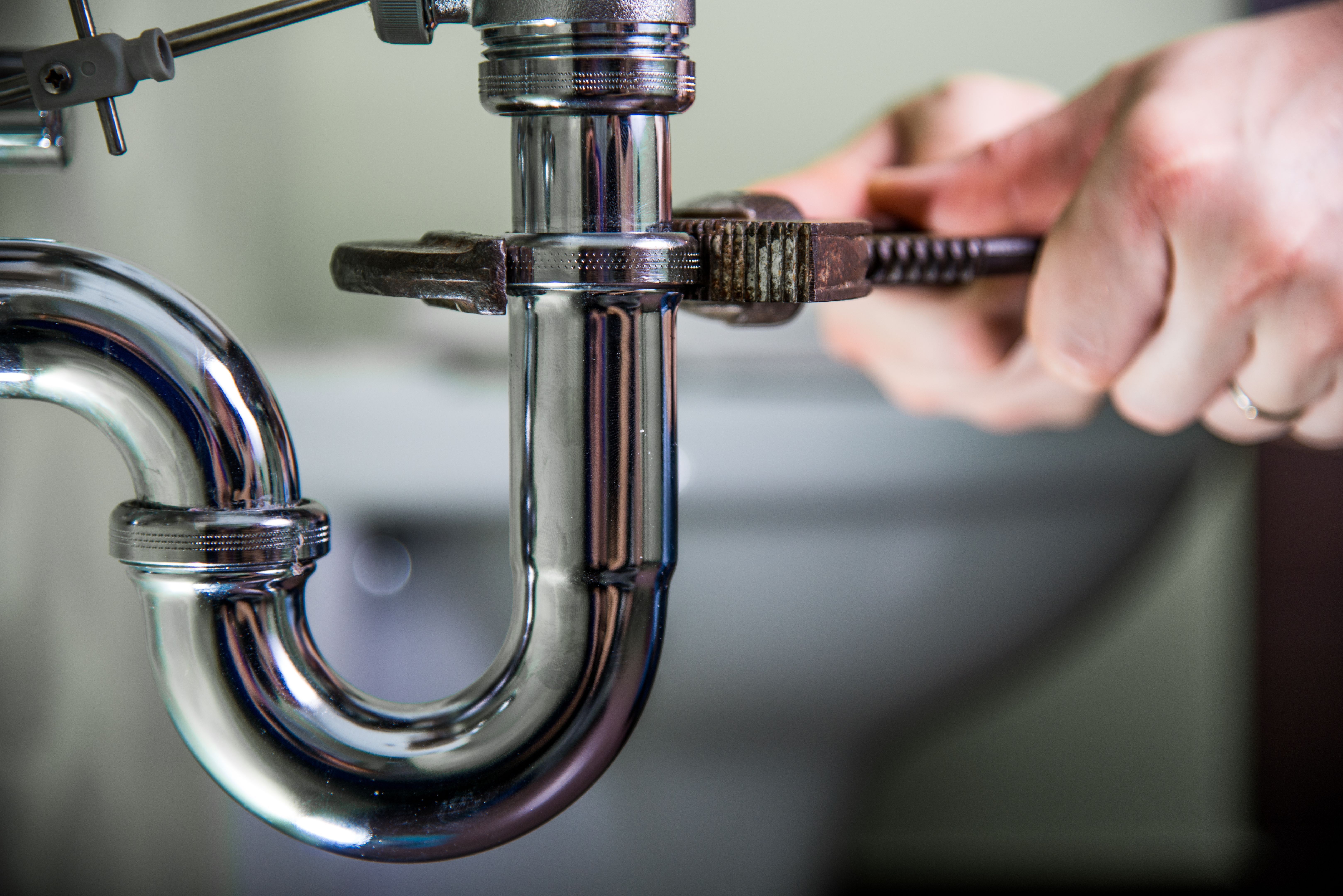 plumber fixing sink