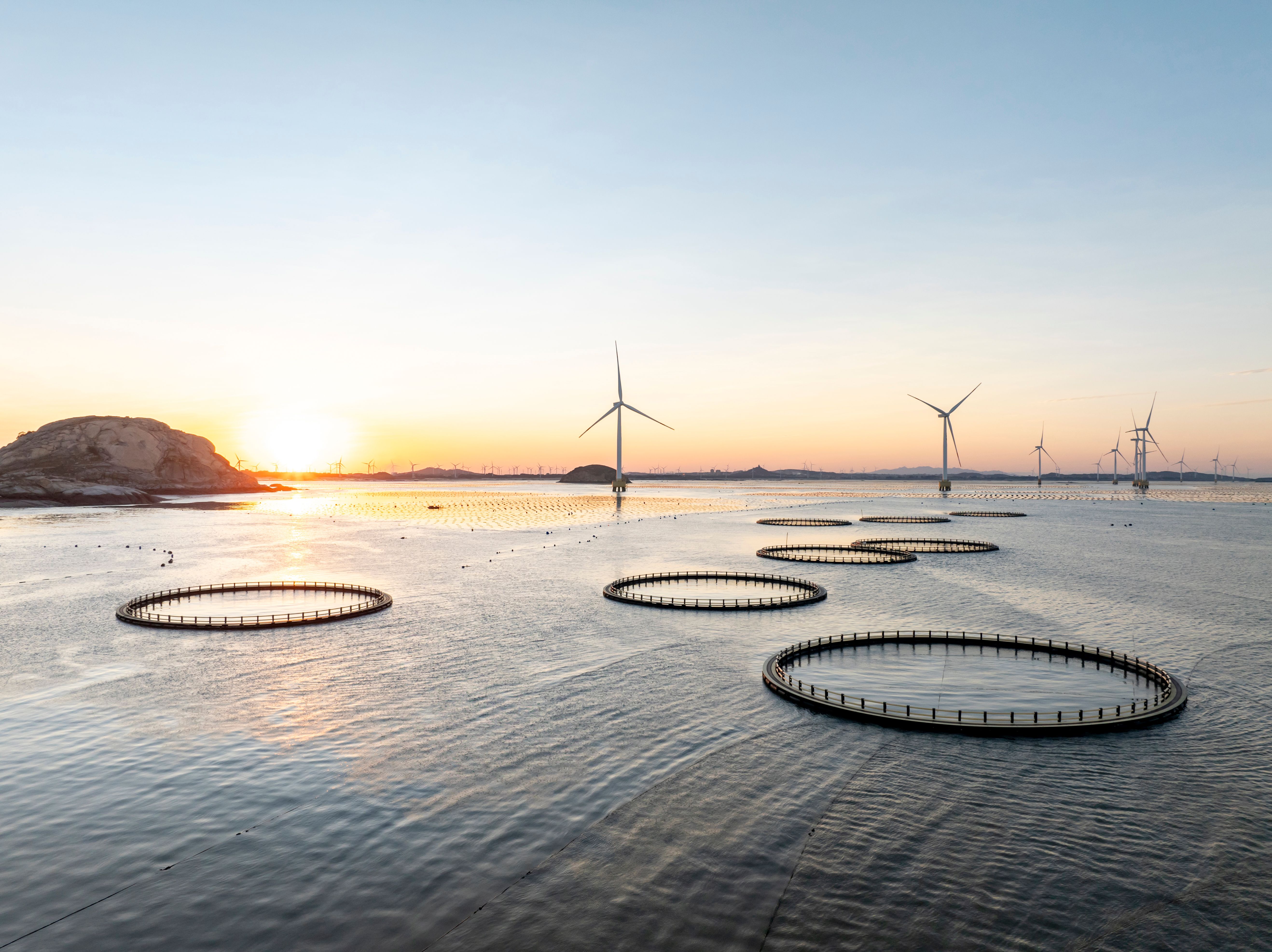 seafood industry technology
