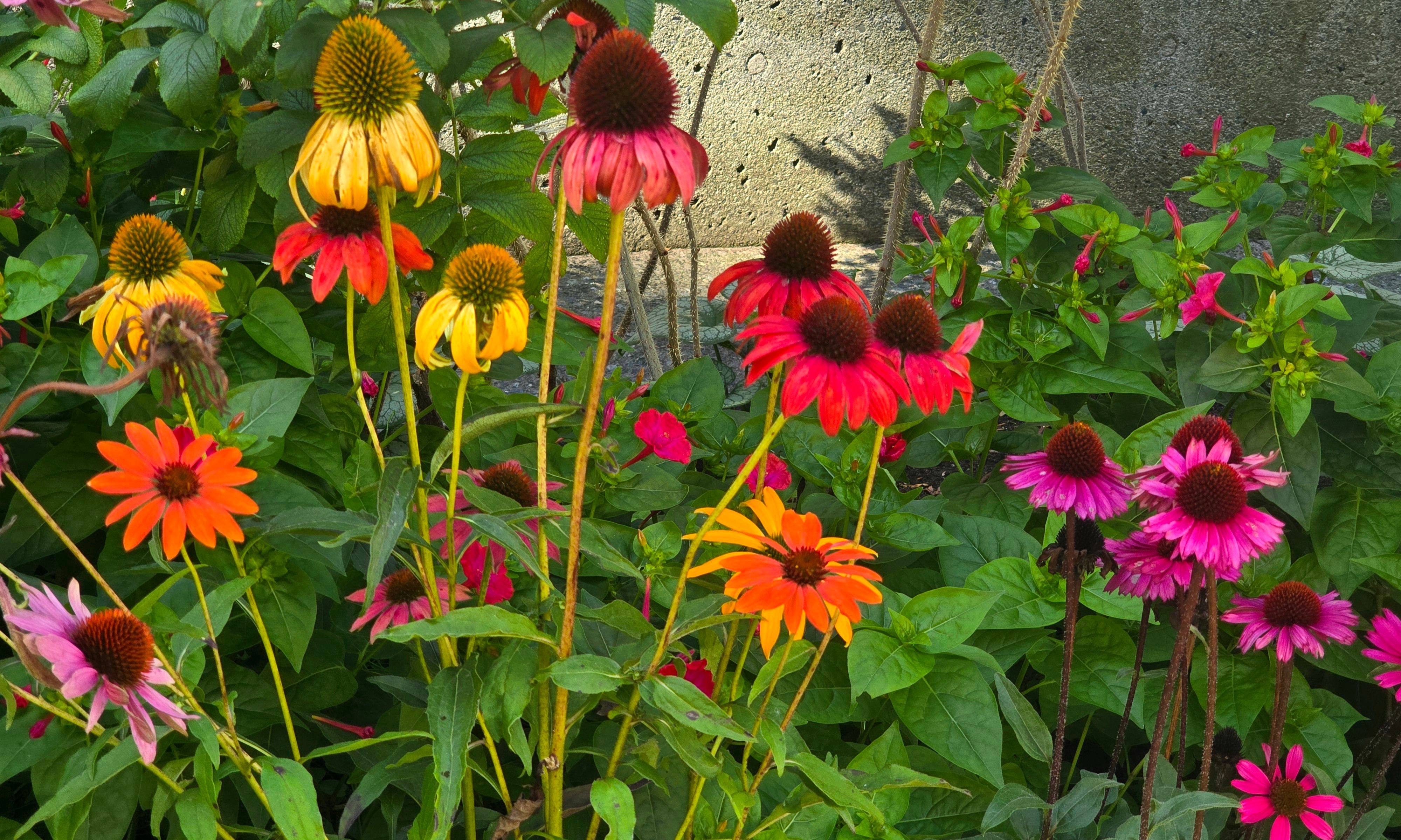 eco-friendly landscaping