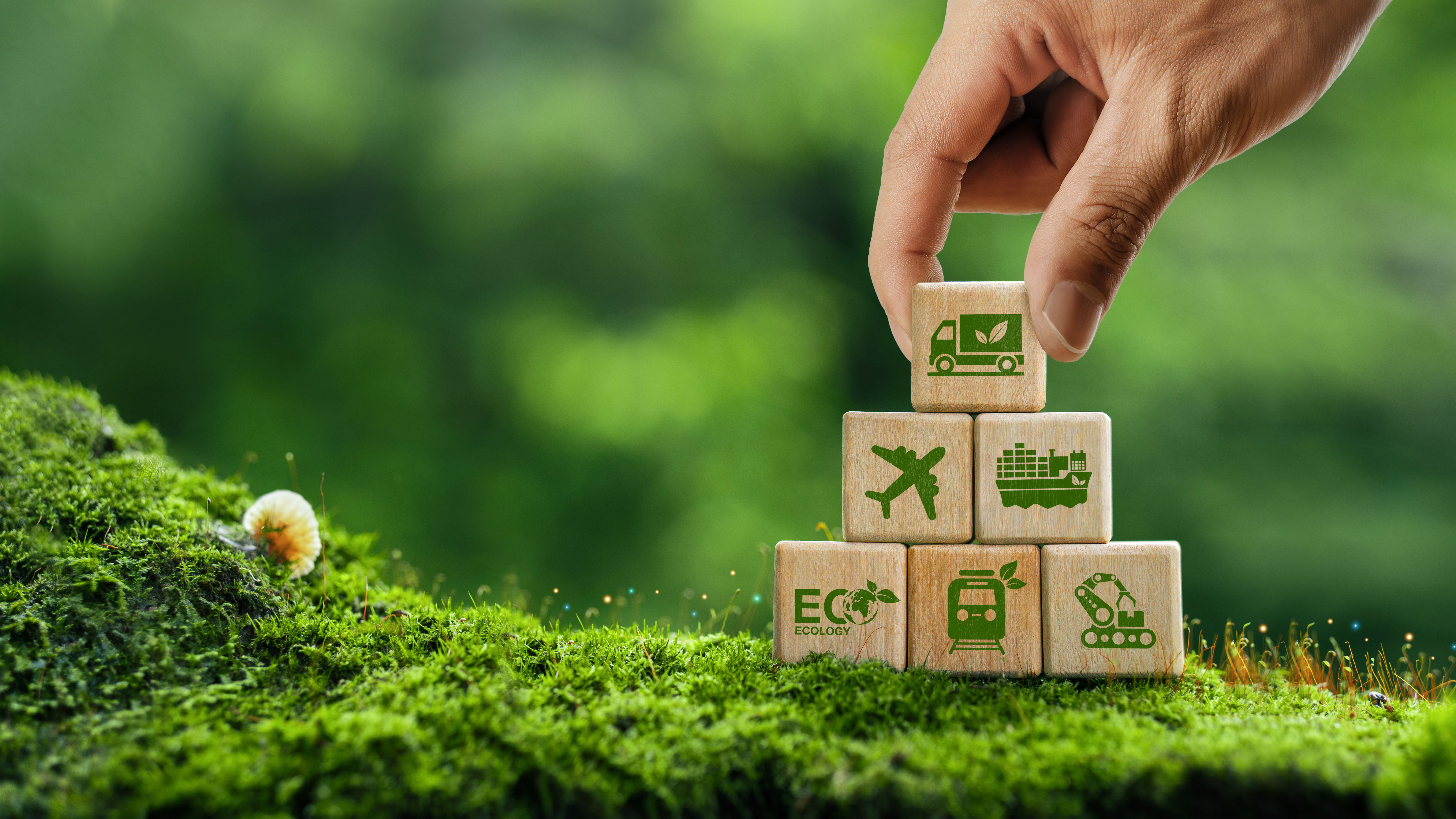 eco friendly tools