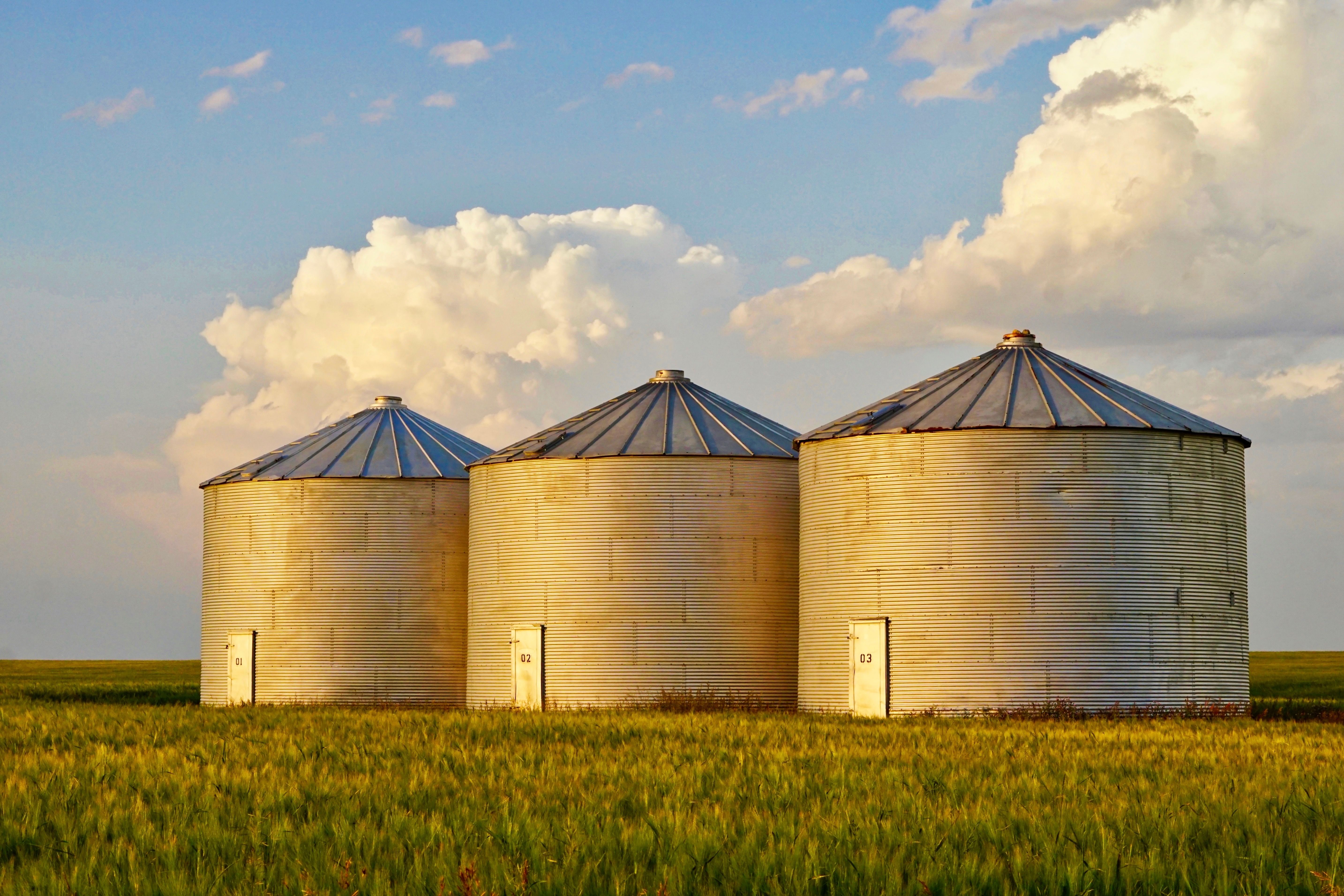 grain storage