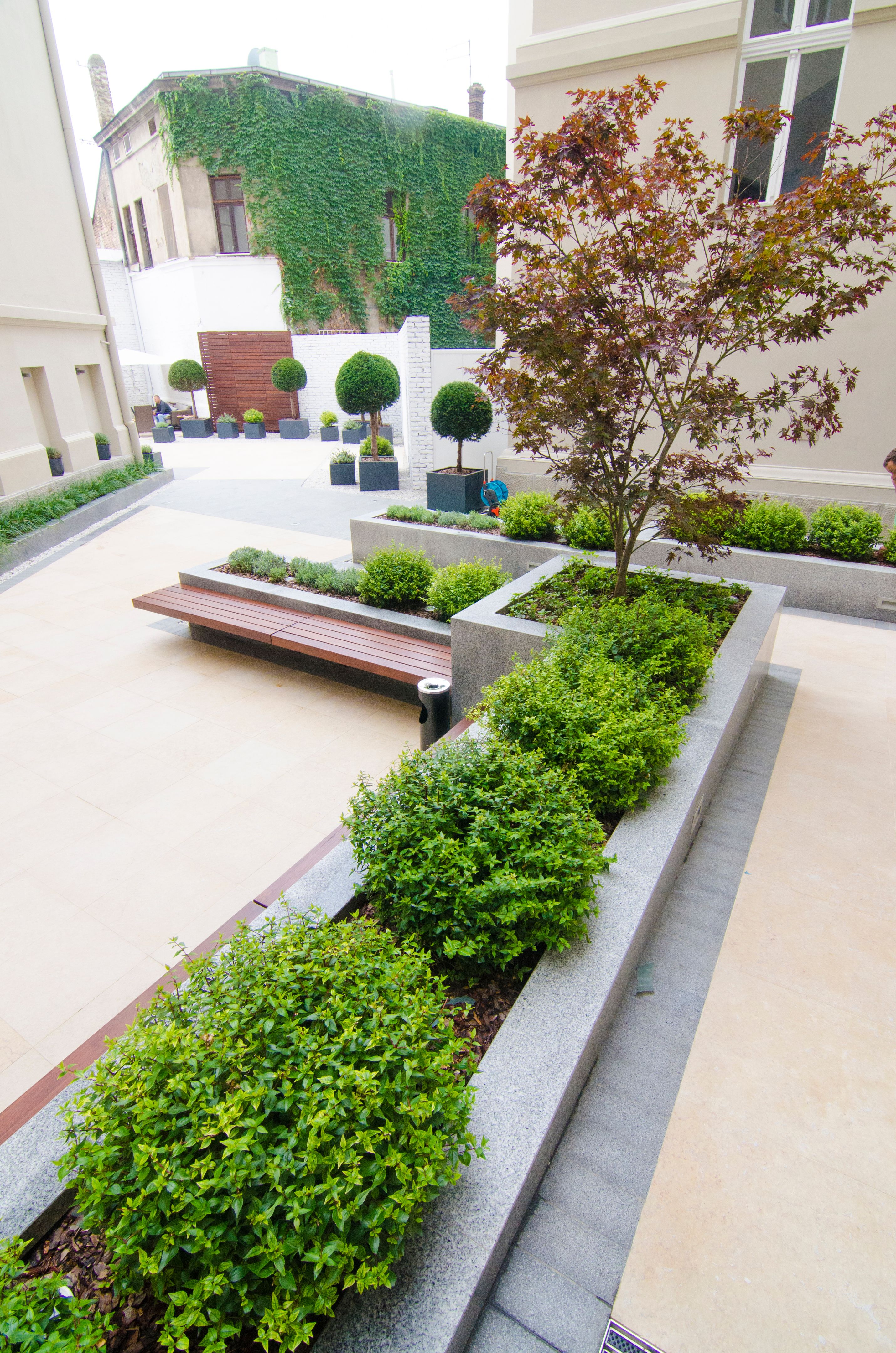 Decoration plants arranged in the garden Decoration plants arranged in the garden