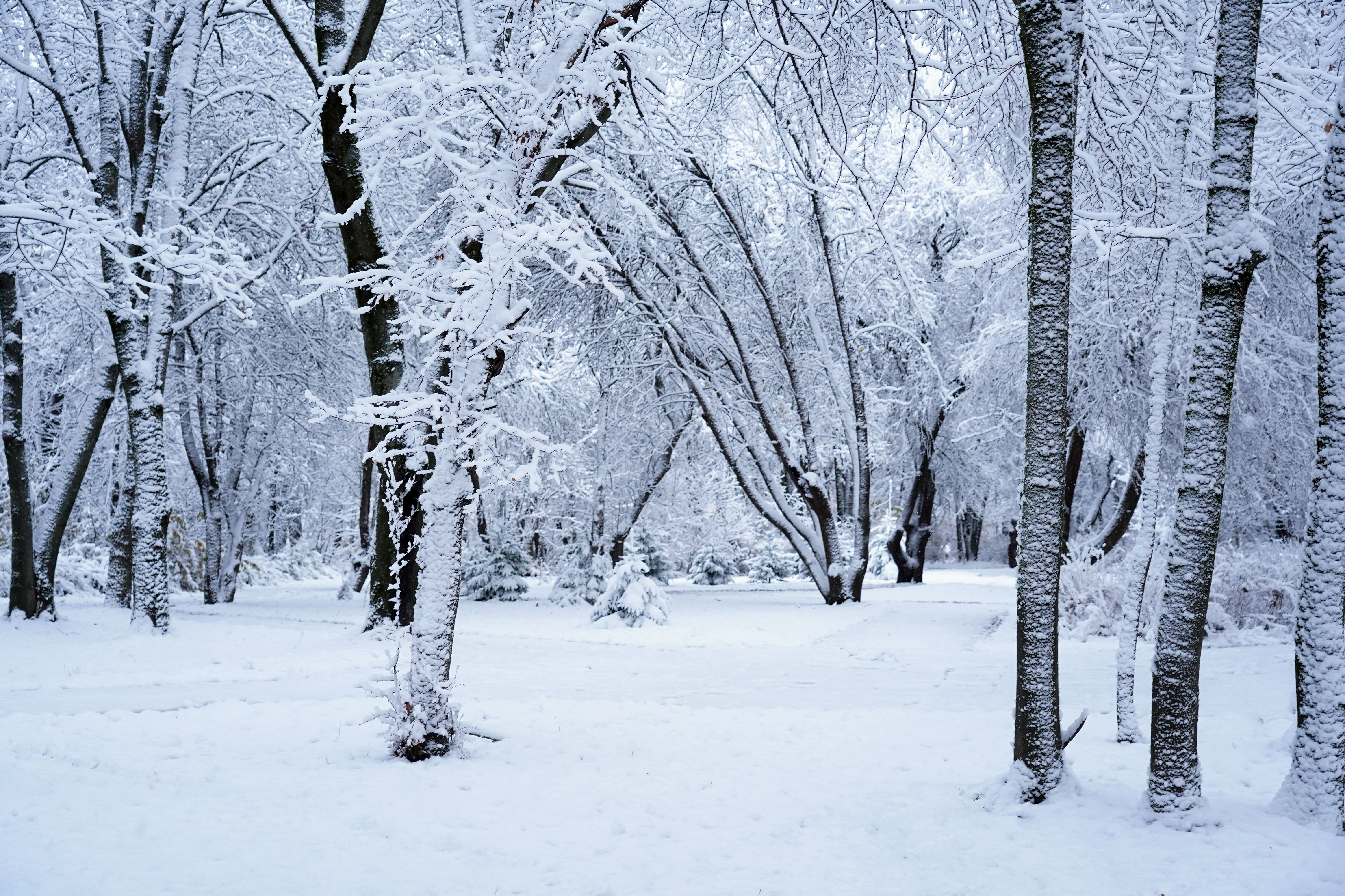 bradford winter park