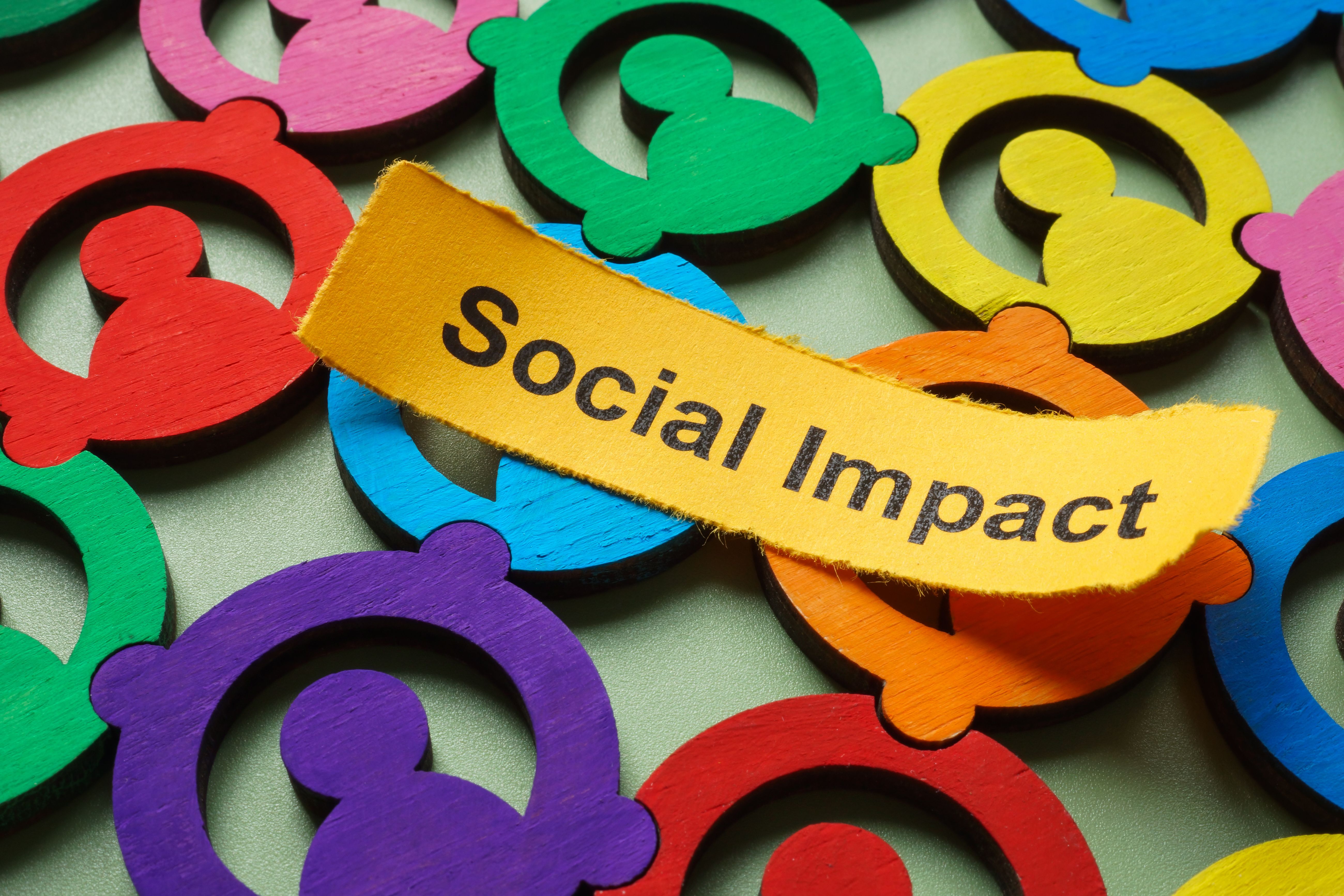 social impact project
