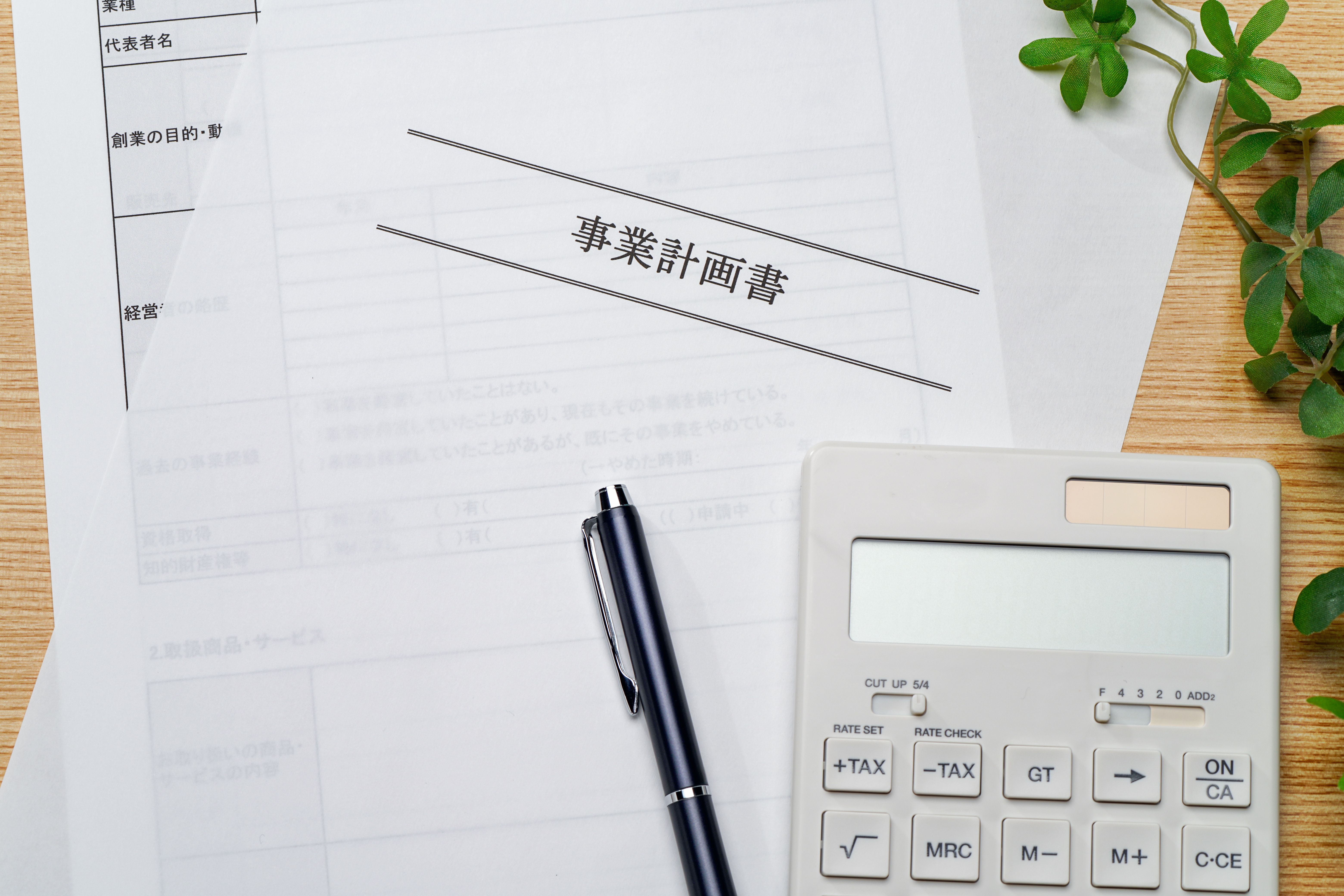 business plan document