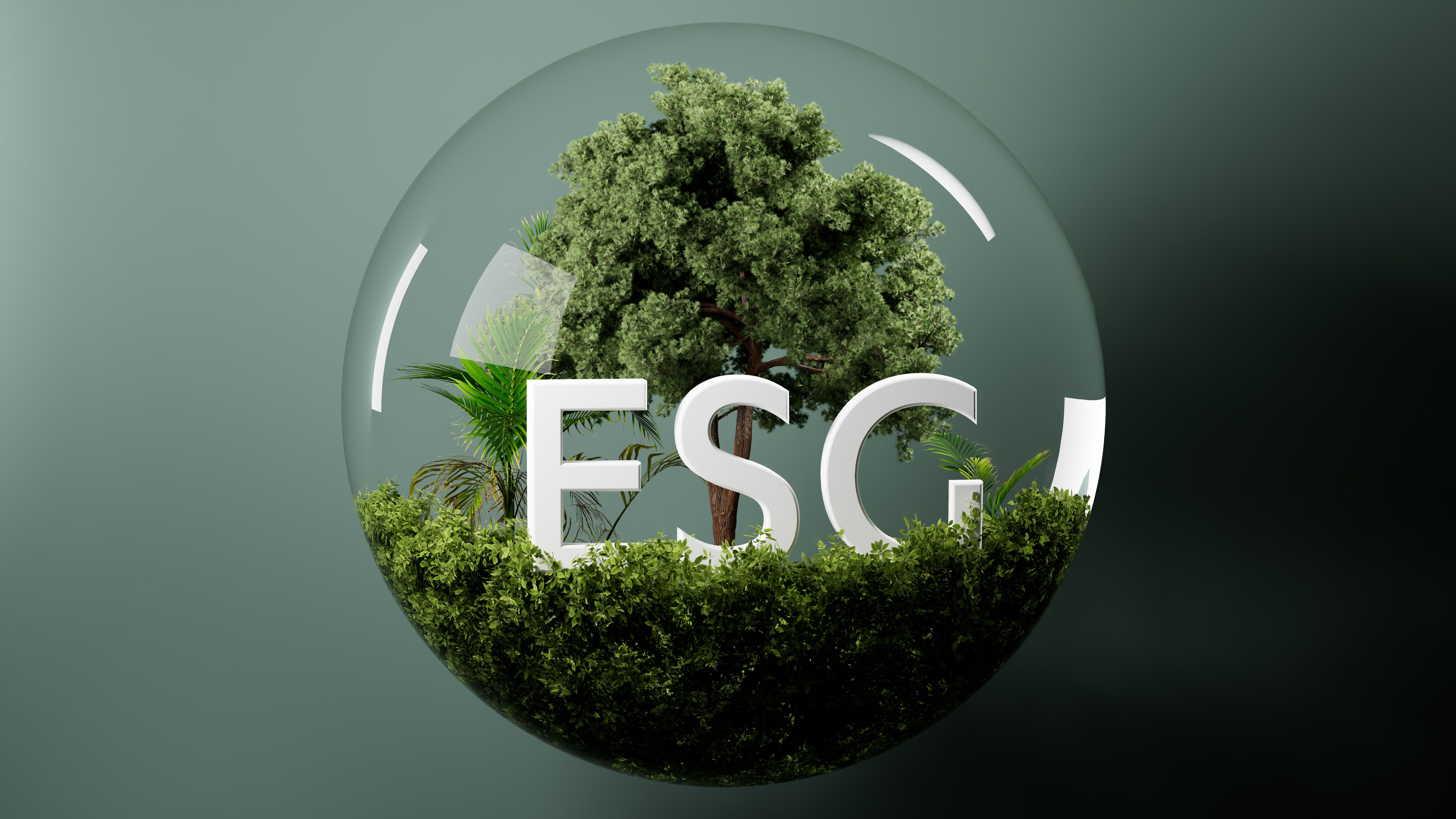 environment pollution