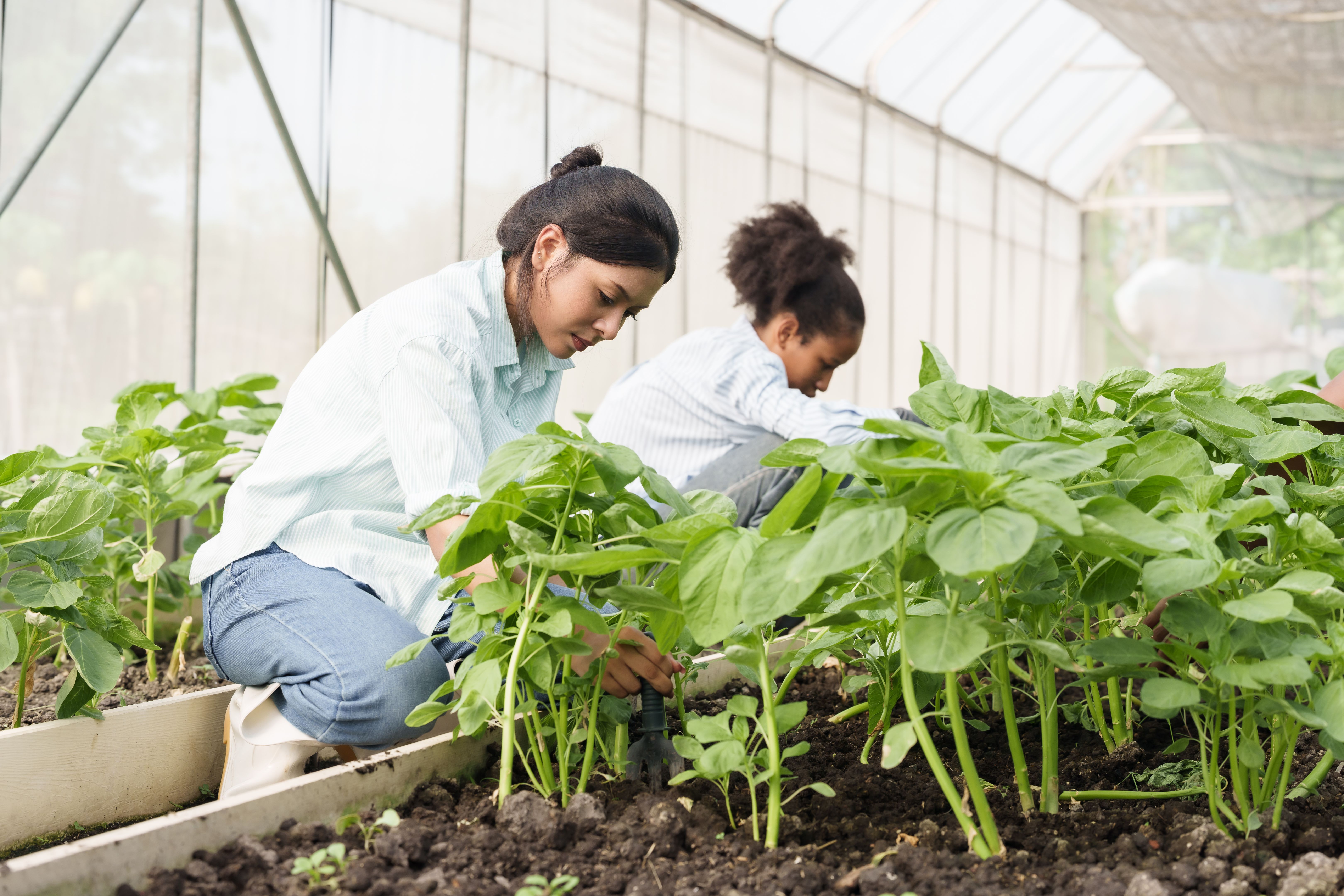 agriculture training